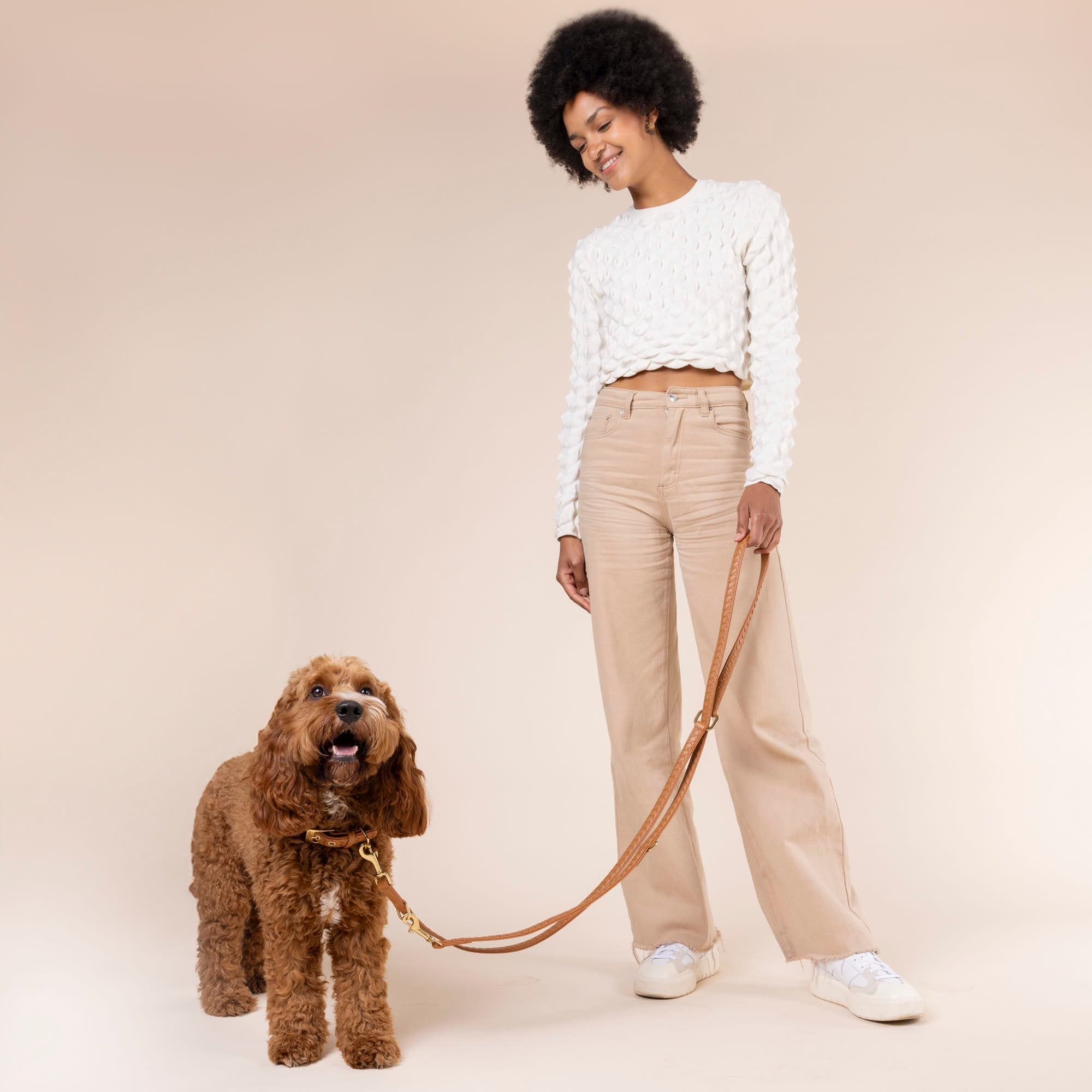 William Walker Hochwertige Leder Hundeleine Prestige Caramel