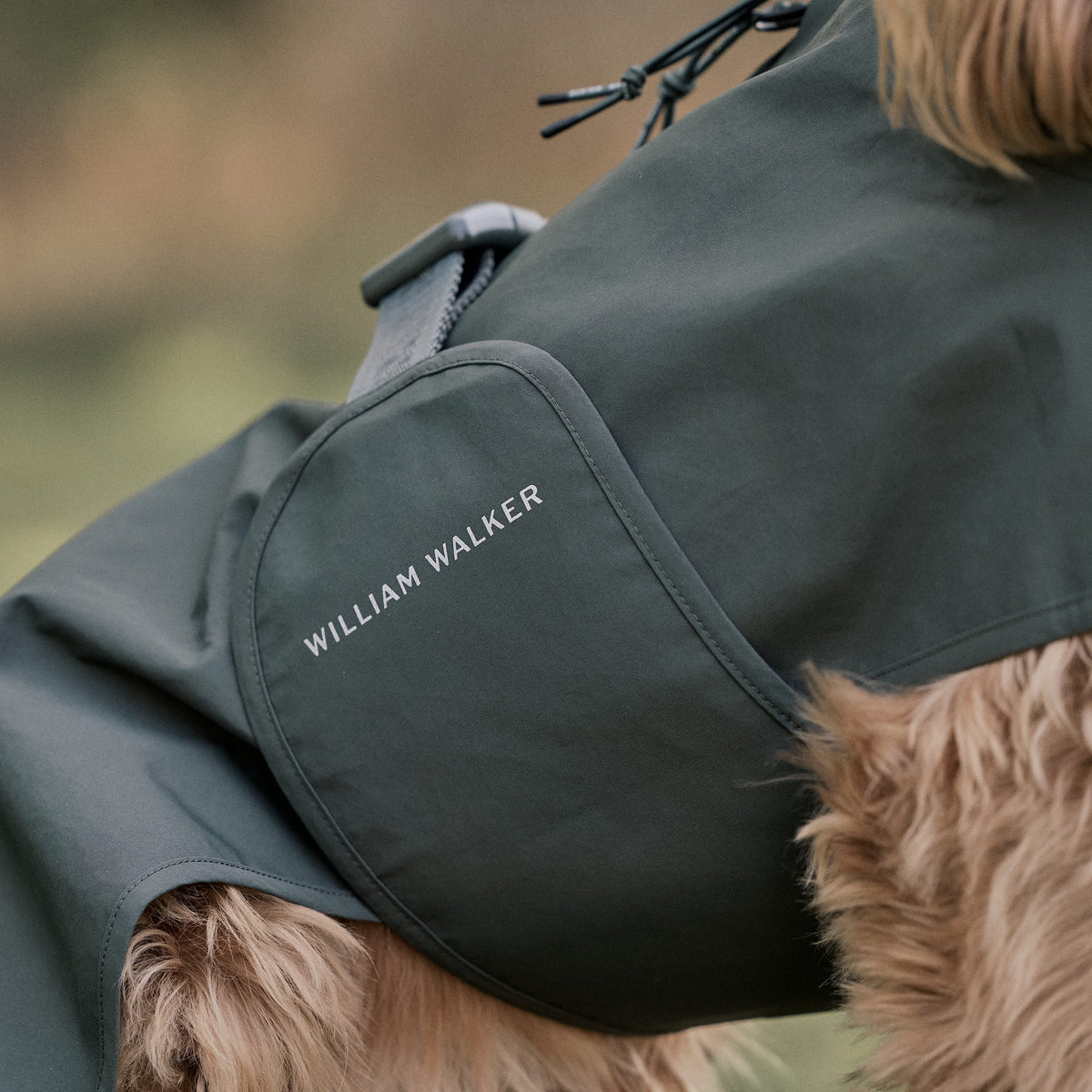 William Walker Waterproof dog raincoat Harbour