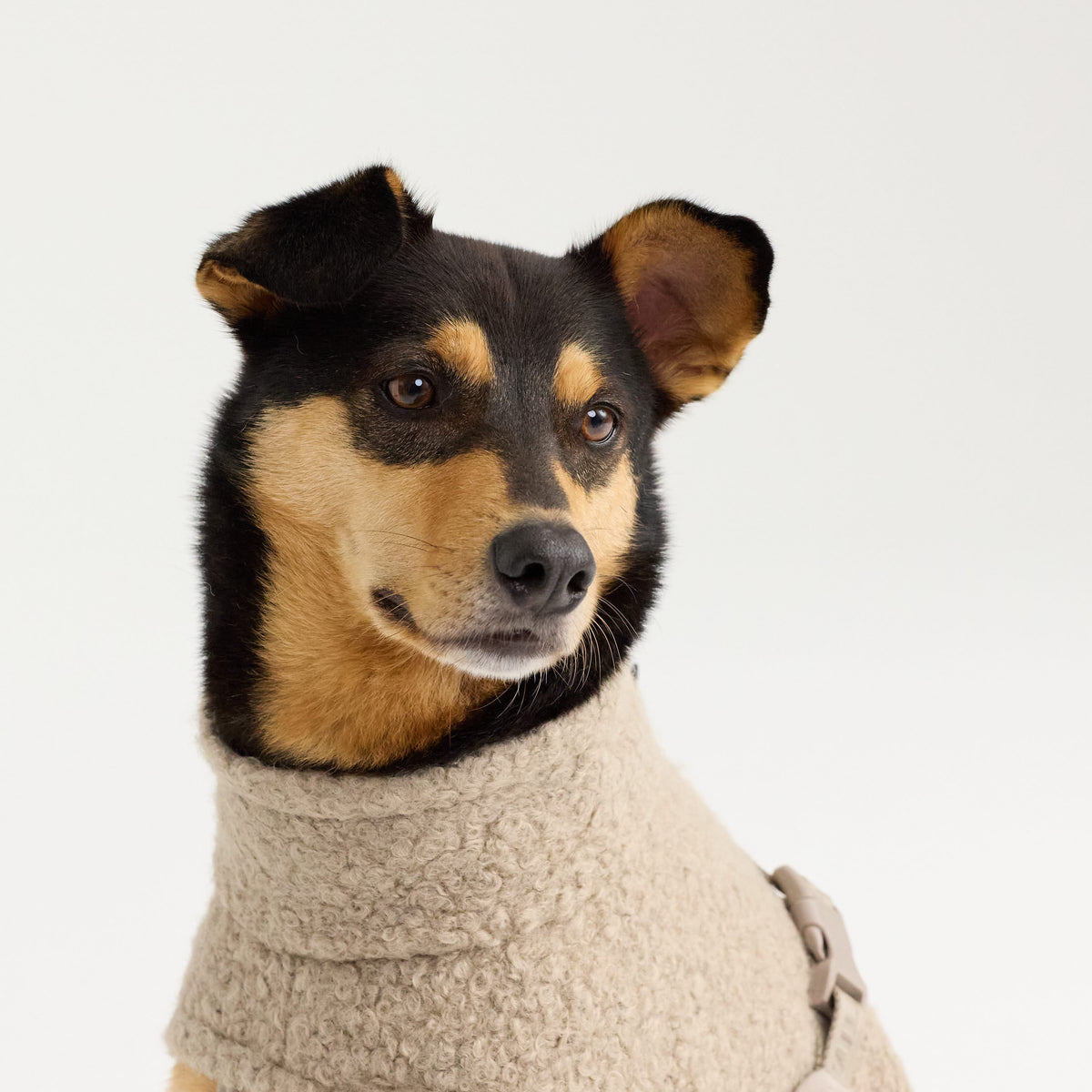 William Walker Fleece-Hundemantel Cozy