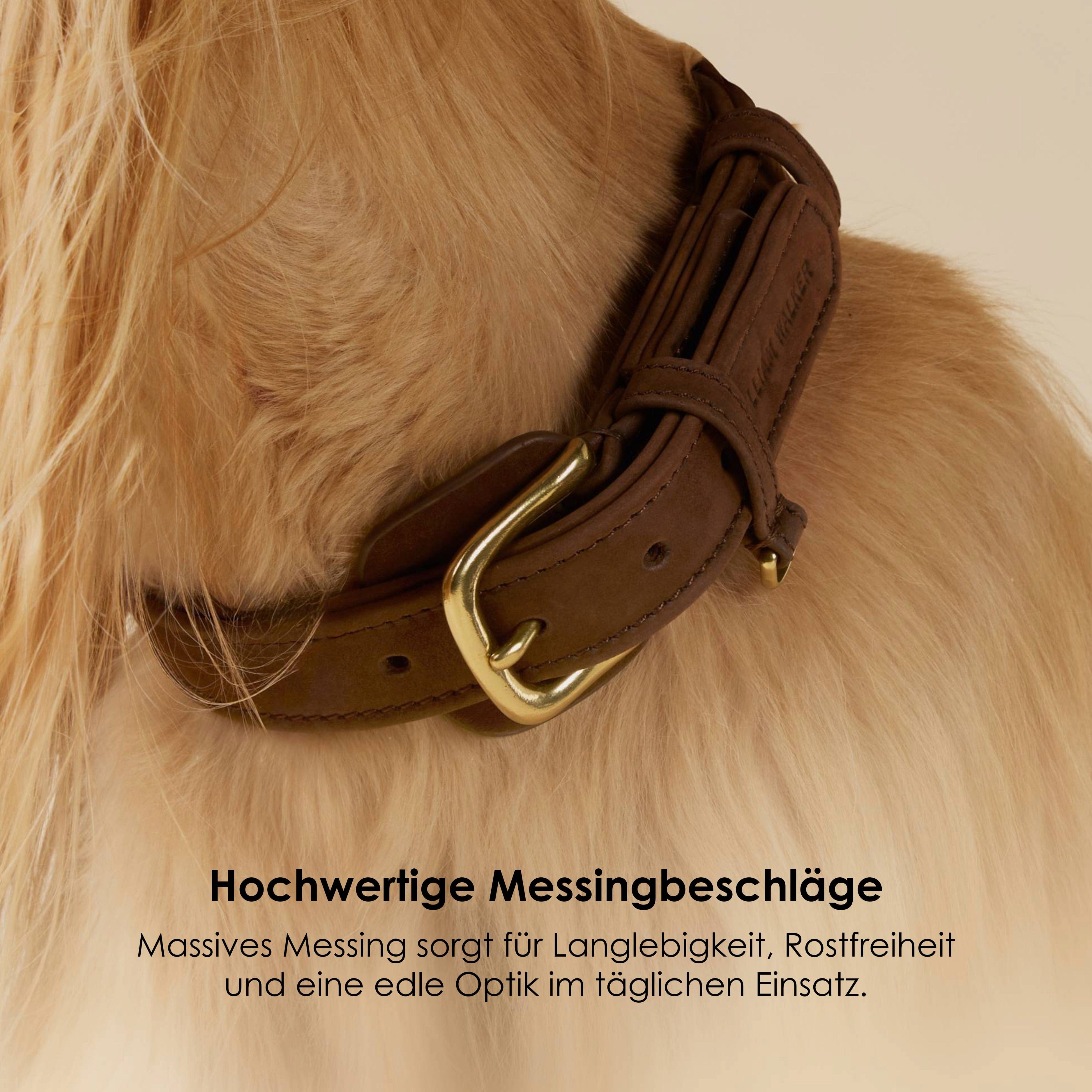 William Walker Hundehalsband aus wasserfestem Nubukleder