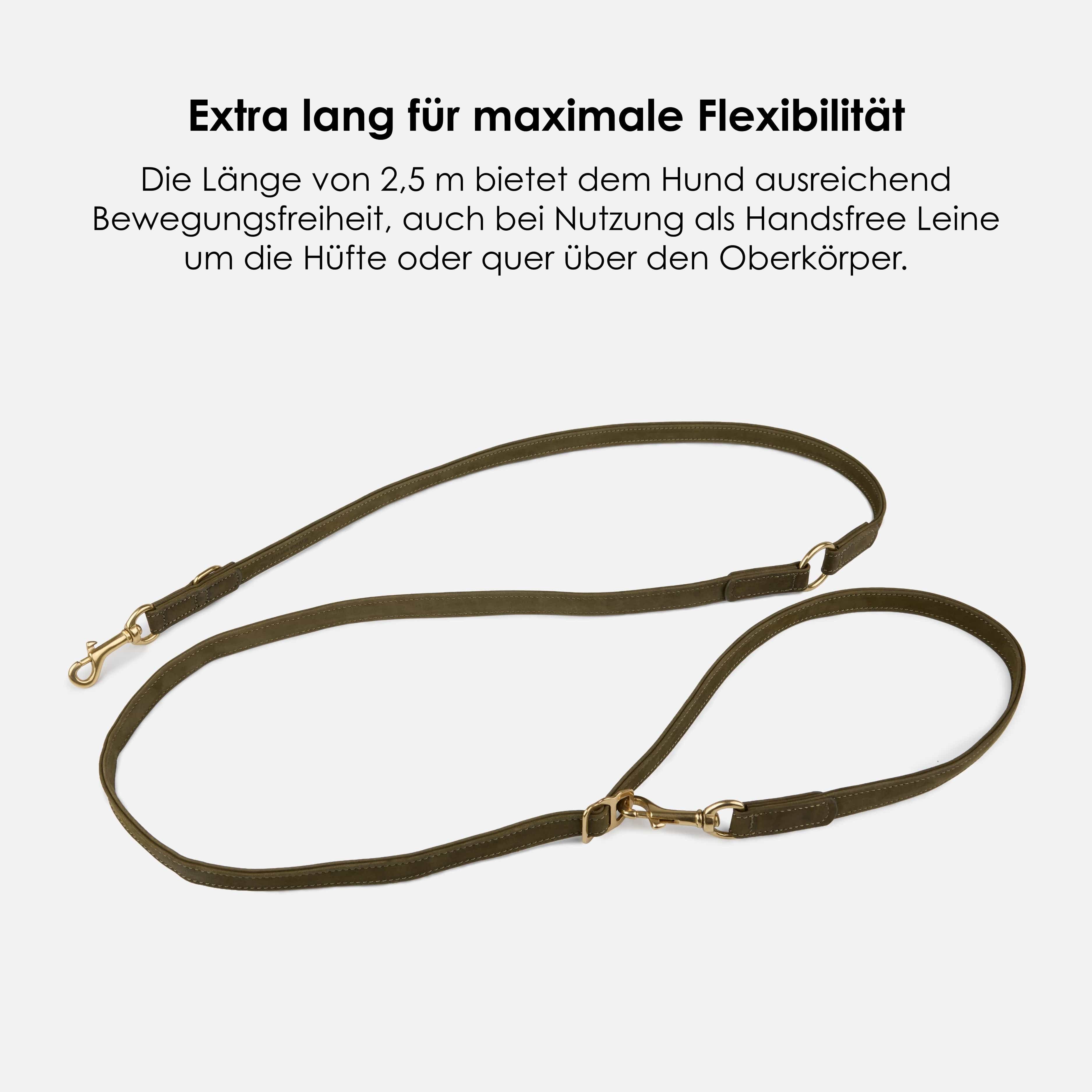 William Walker Hundeleine aus wasserfestem Nubukleder stufenlos verstellbar Handsfree