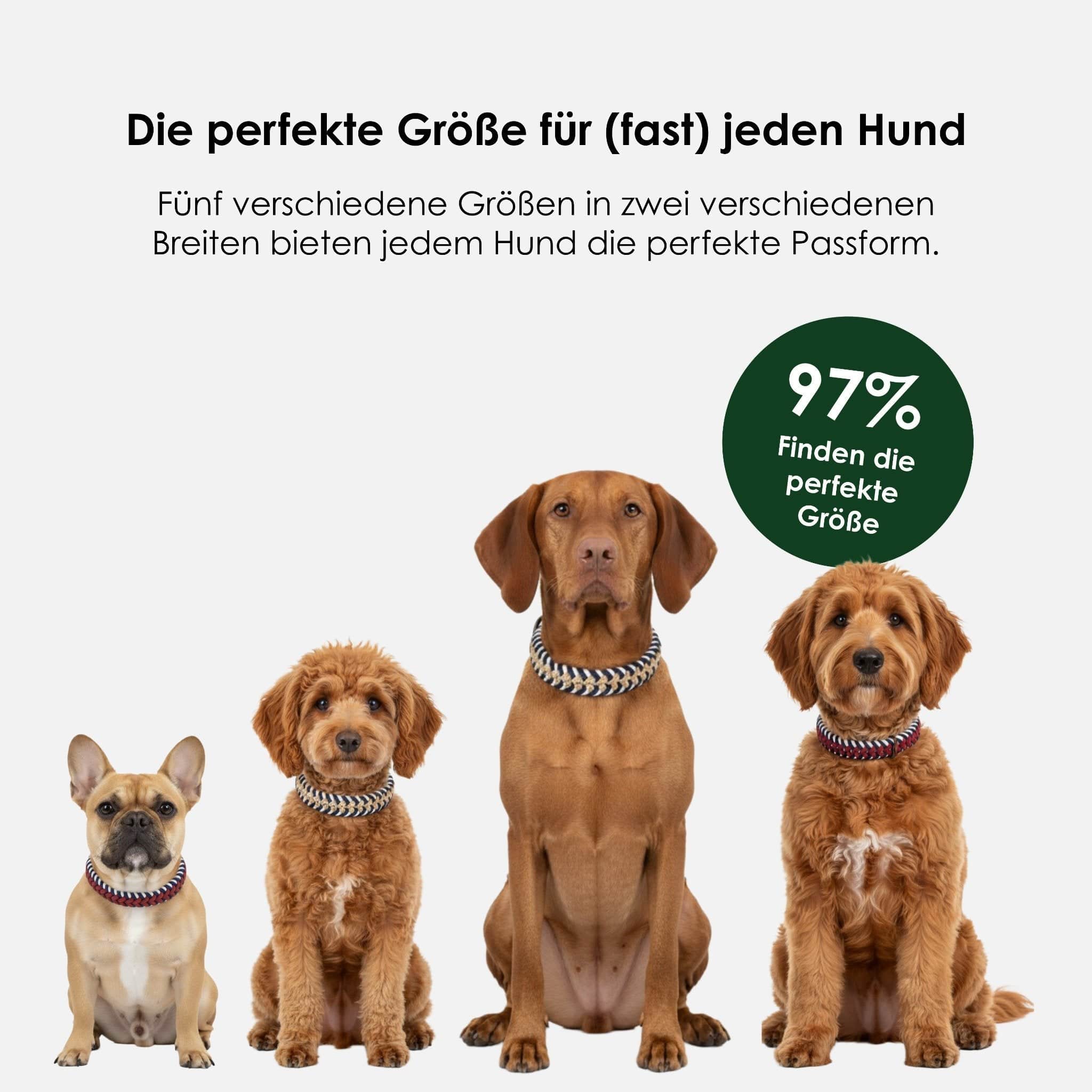 William Walker Paracord BioThane® Hundehalsband Hanseatic // Limited