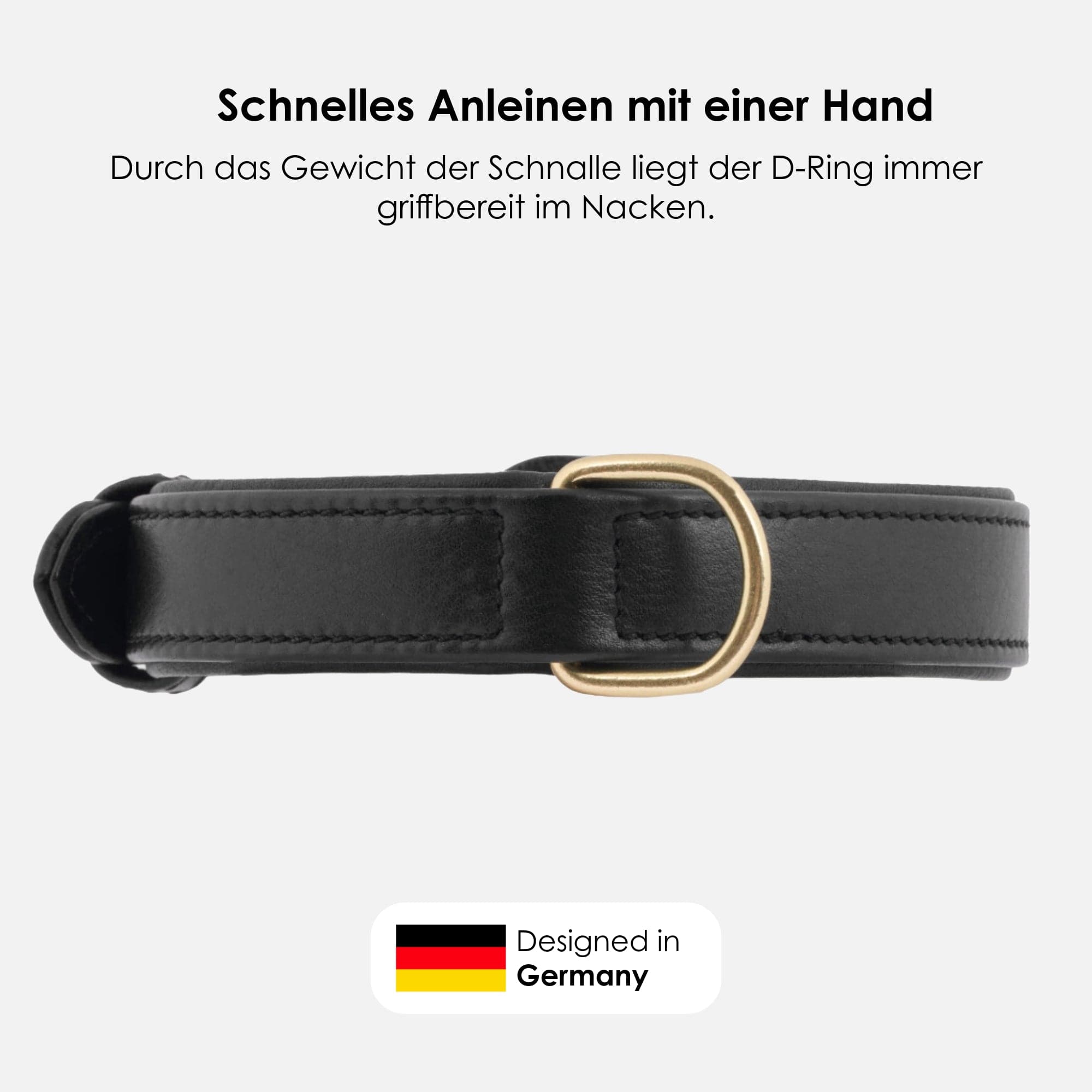 William Walker Leder Hundehalsband Noir (Schwarz)