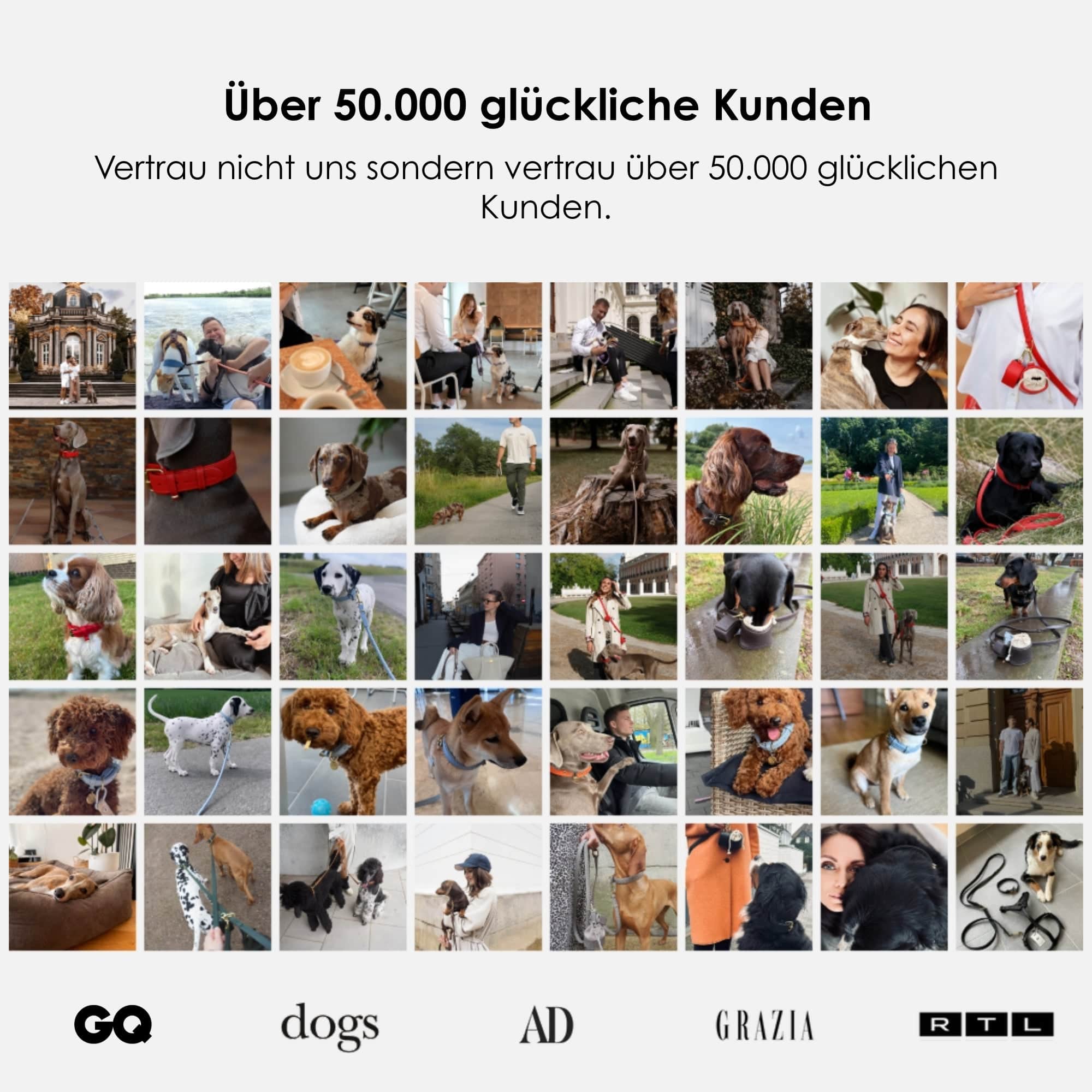 William Walker Hochwertige Leder Hundeleine Earth (Braun)