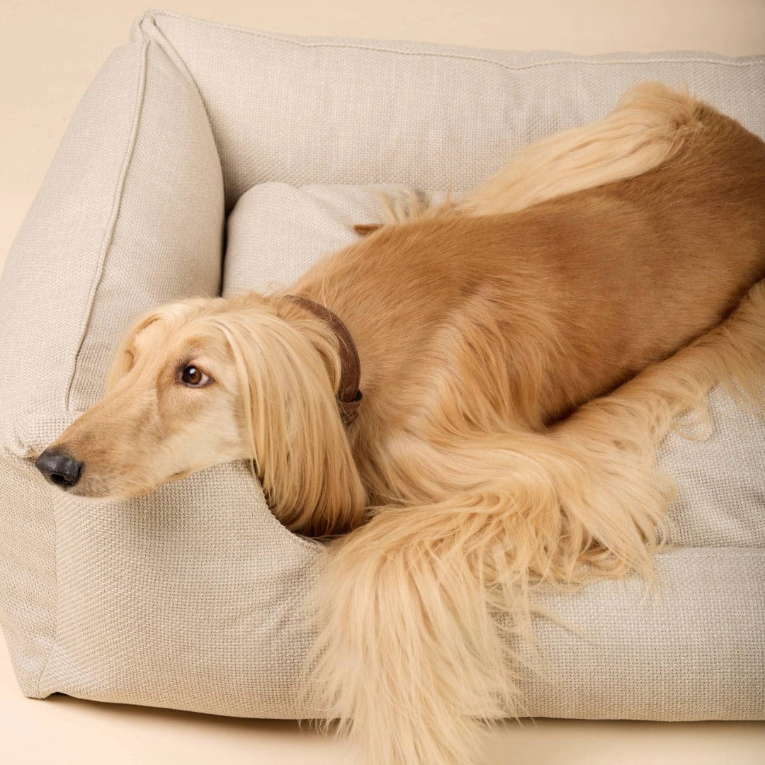 William Walker Orthopädisches Hundebett Luxe