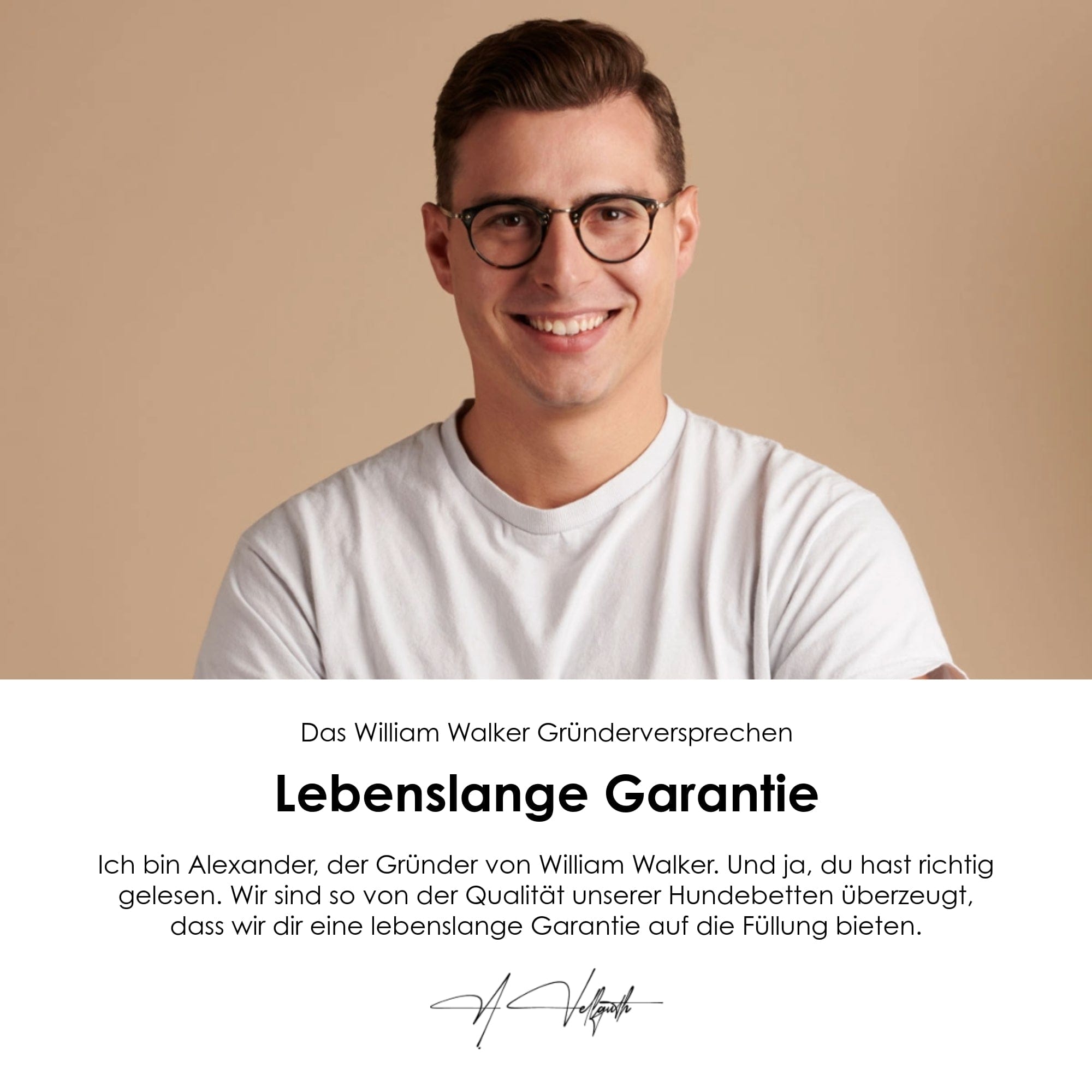 William Walker Orthopädisches Hundebett Stone