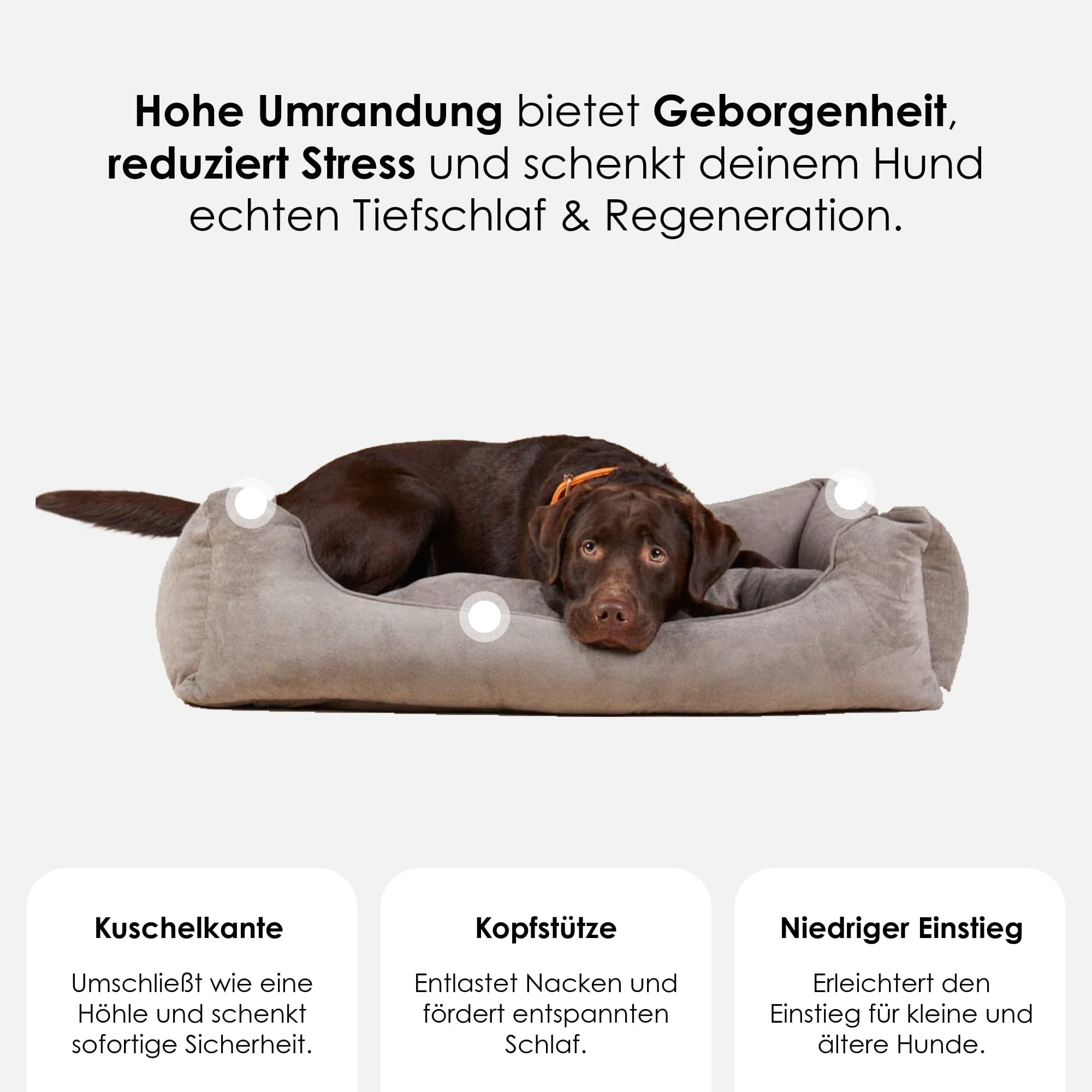 William Walker Orthopädisches Hundebett Stone