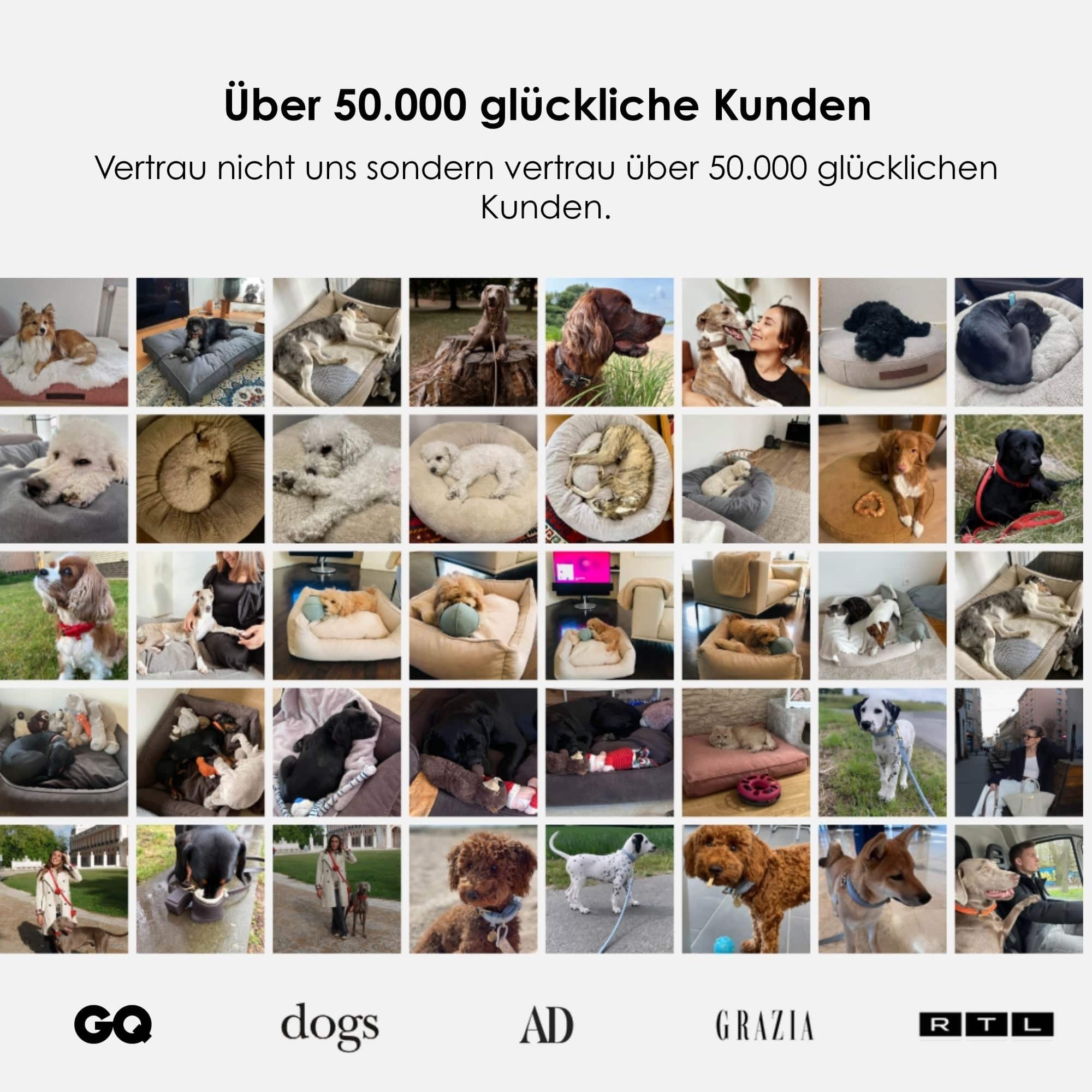 William Walker Orthopädisches Hundebett Stone