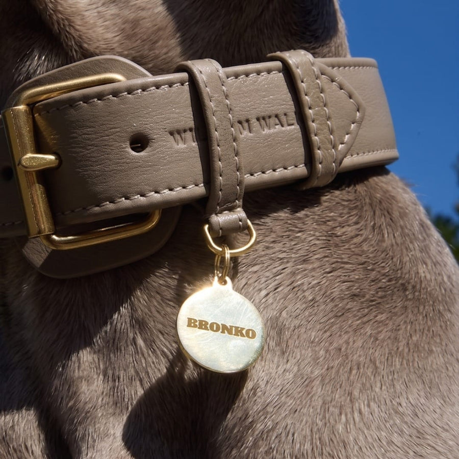 Personalisierbare runde Messing-Hundemarke