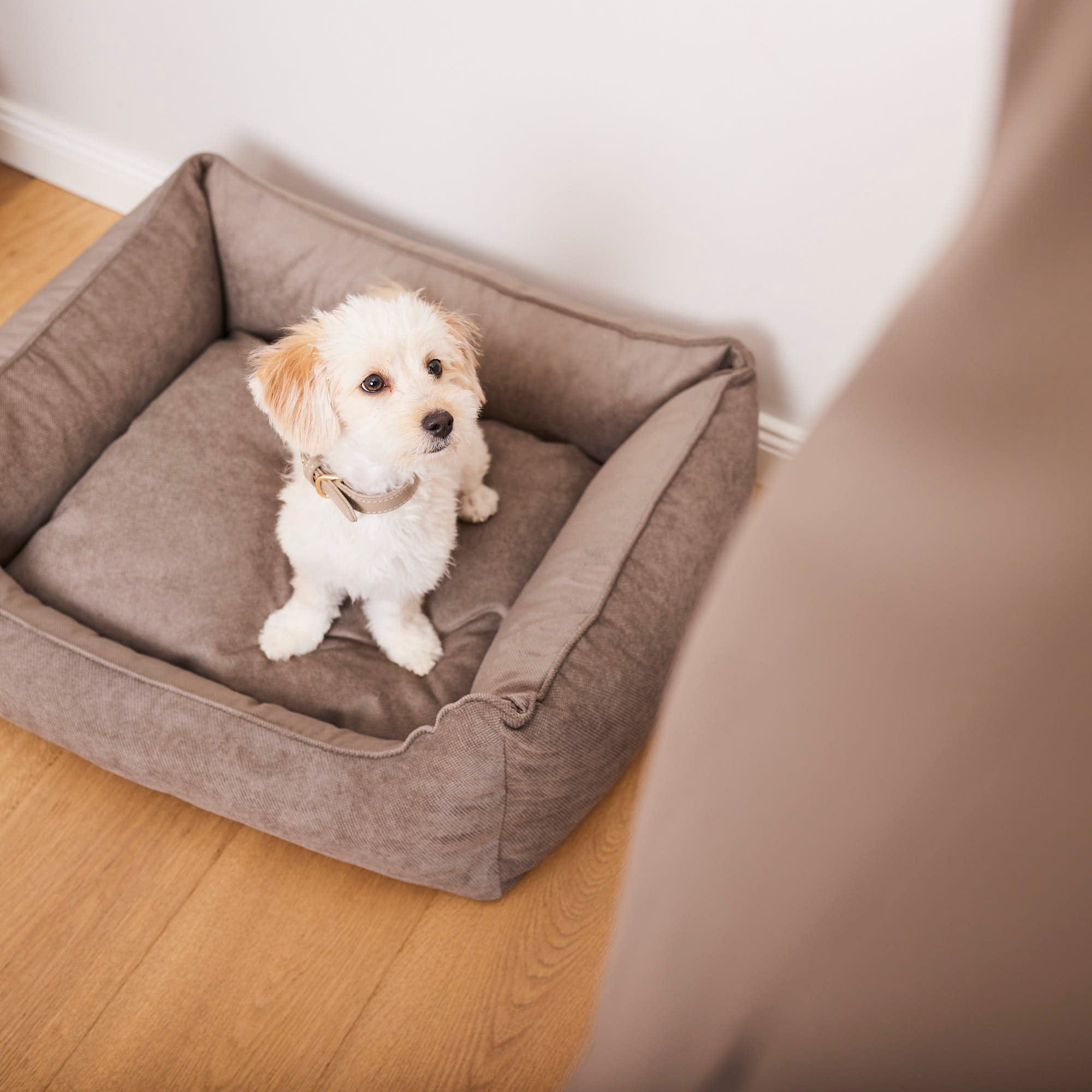 William Walker Sleep Bundle