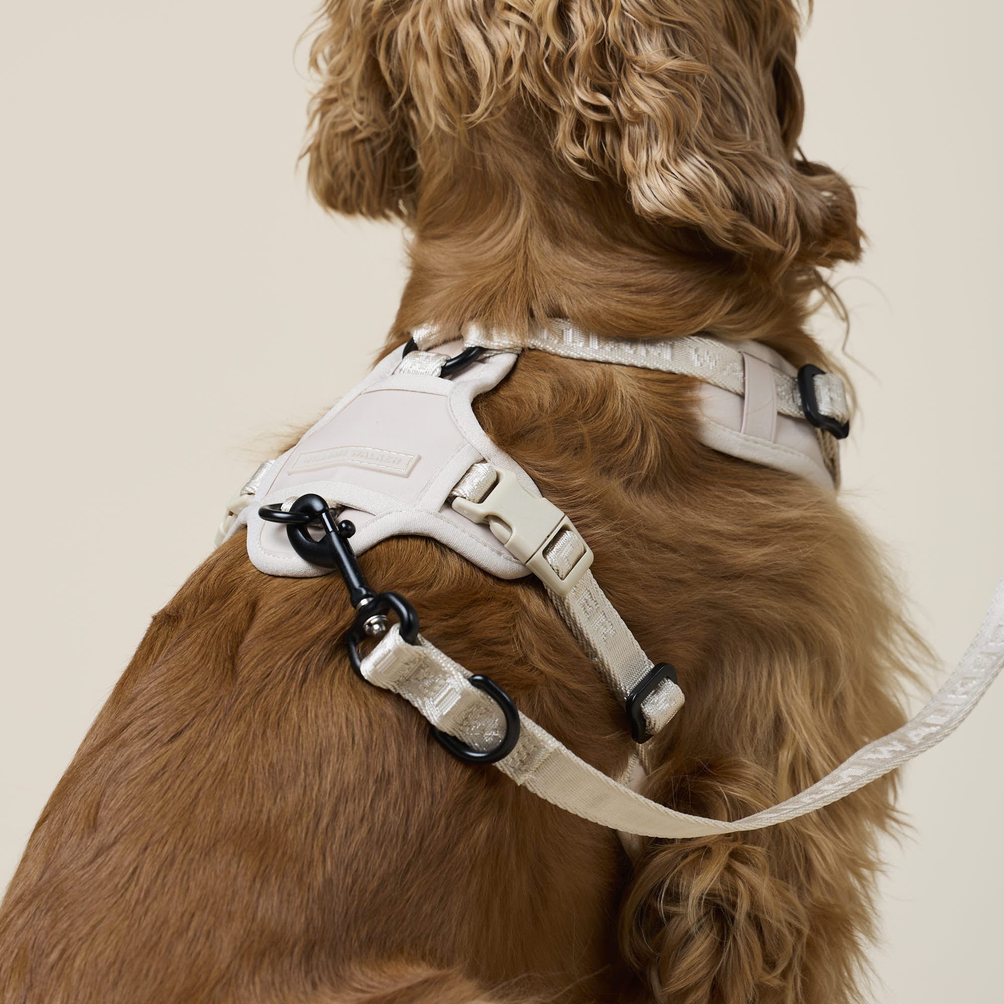 William Walker Jacquard Nylon Hundeleine Sand (beige)