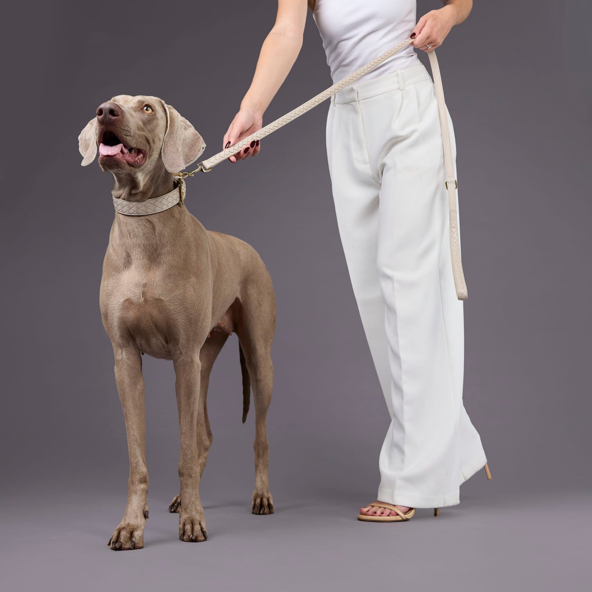 William Walker Hochwertige Leder Hundeleine Prestige Almond