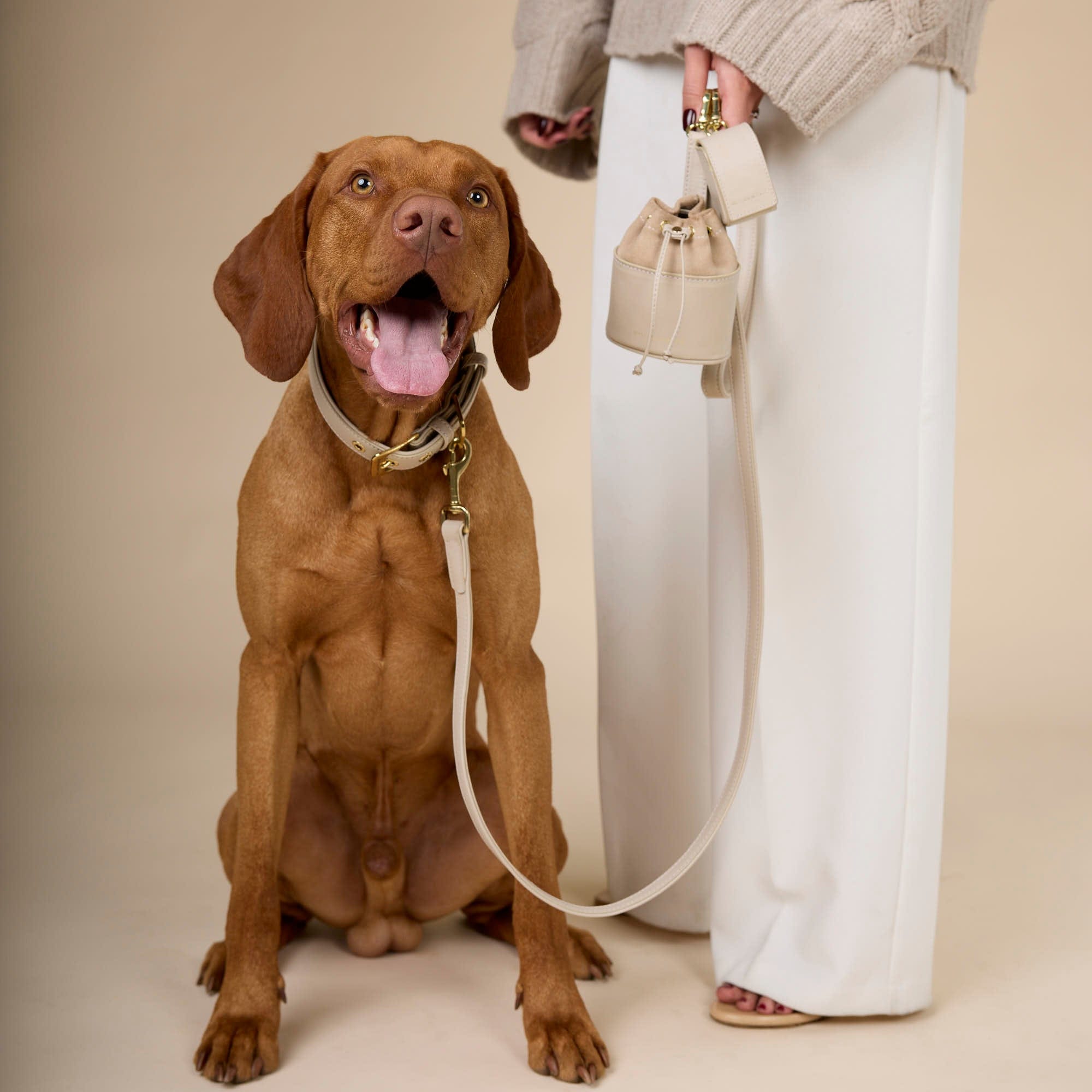 William Walker Hochwertige Glattleder Hundeleine Almond