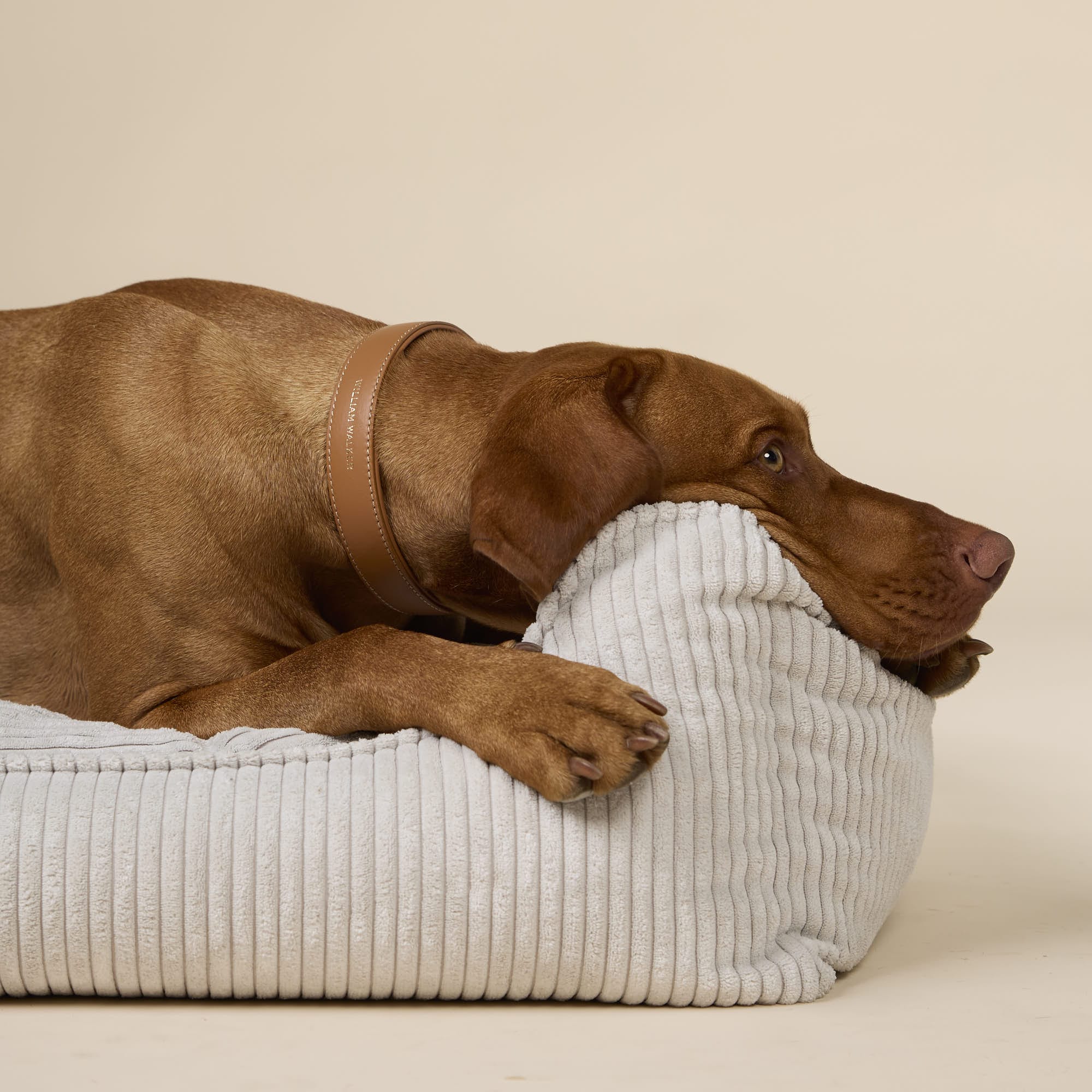 William Walker Orthopädisches Cord Hundebett Moonlight (Hellgrau)