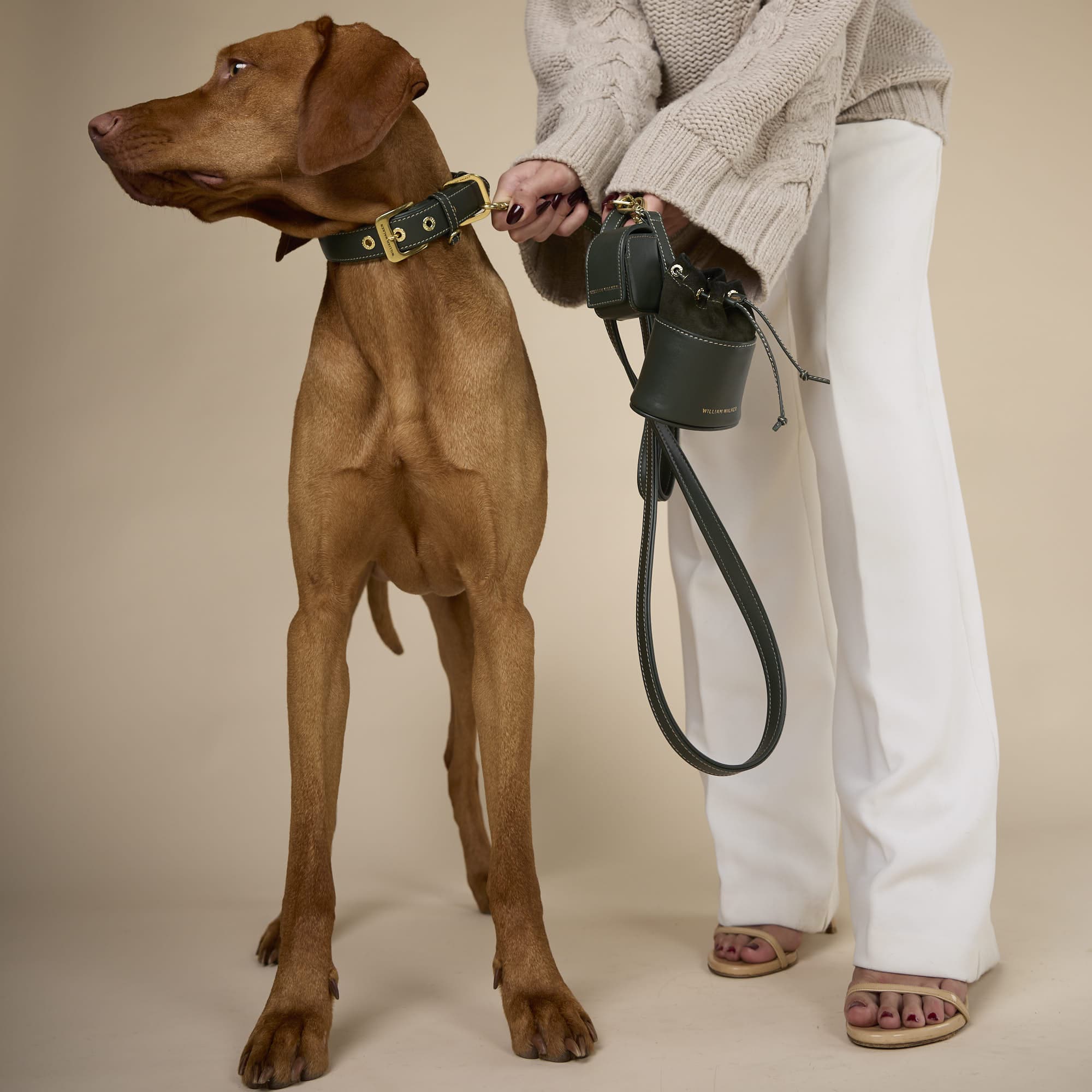 William Walker Kotbeutelspender Forest