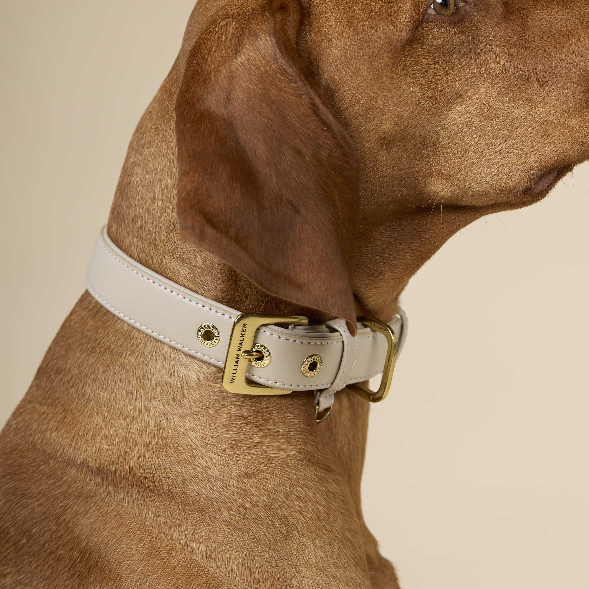 William Walker Glattleder Hundehalsband Almond