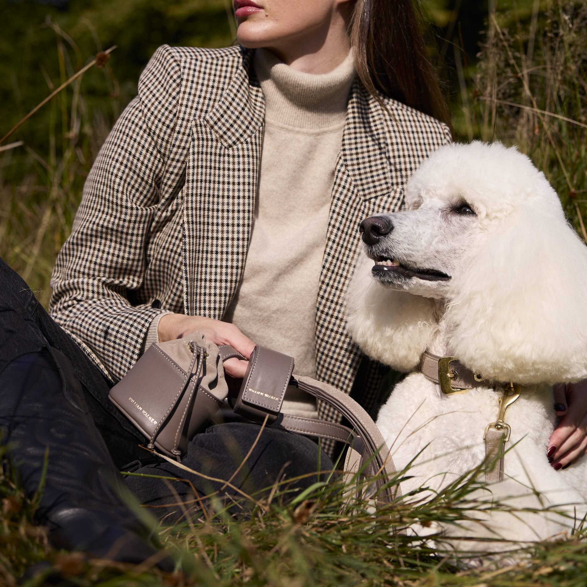 William Walker Hochwertige Wildleder Hundeleine Pebble (Taupe)