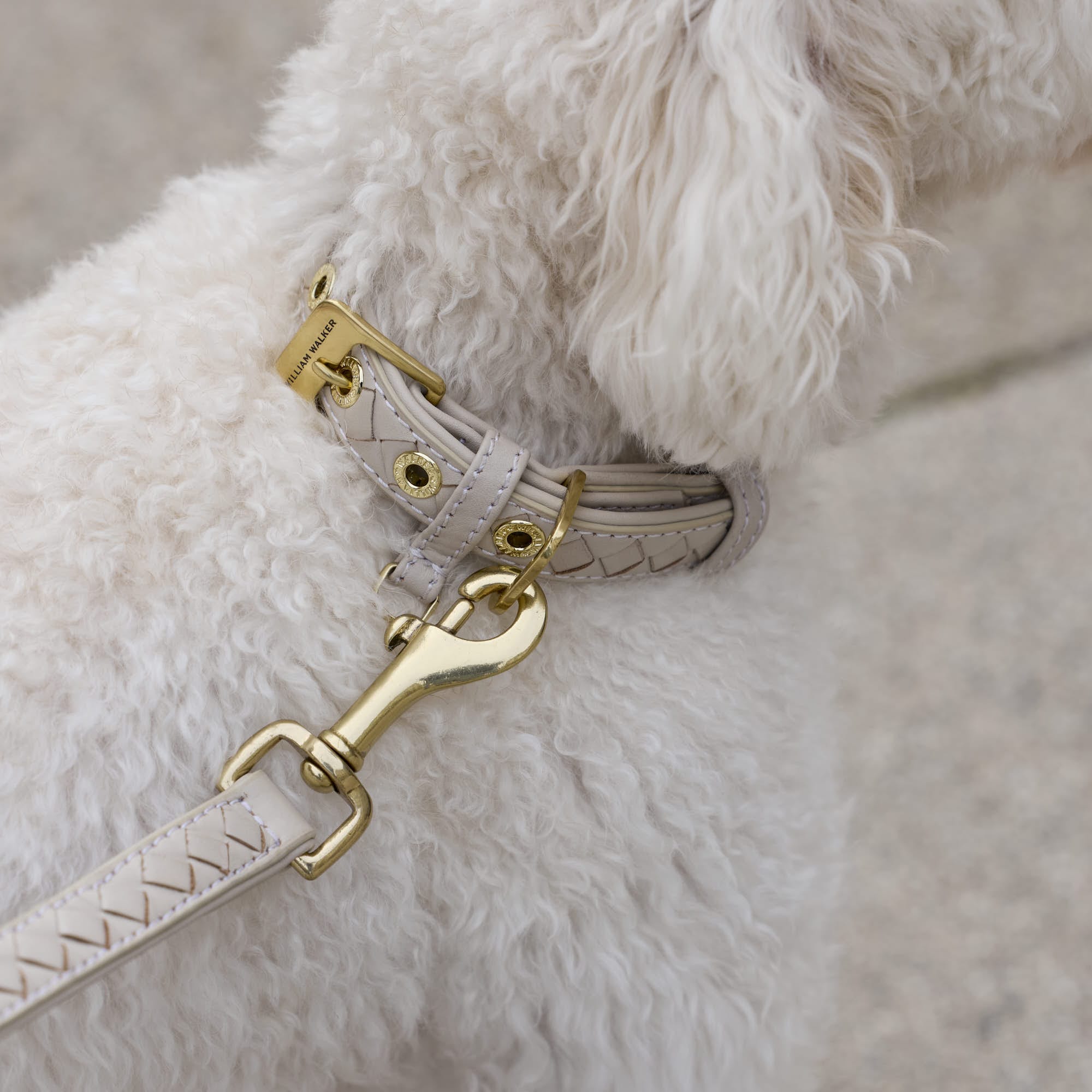 William Walker Hochwertige Leder Hundeleine Prestige Almond