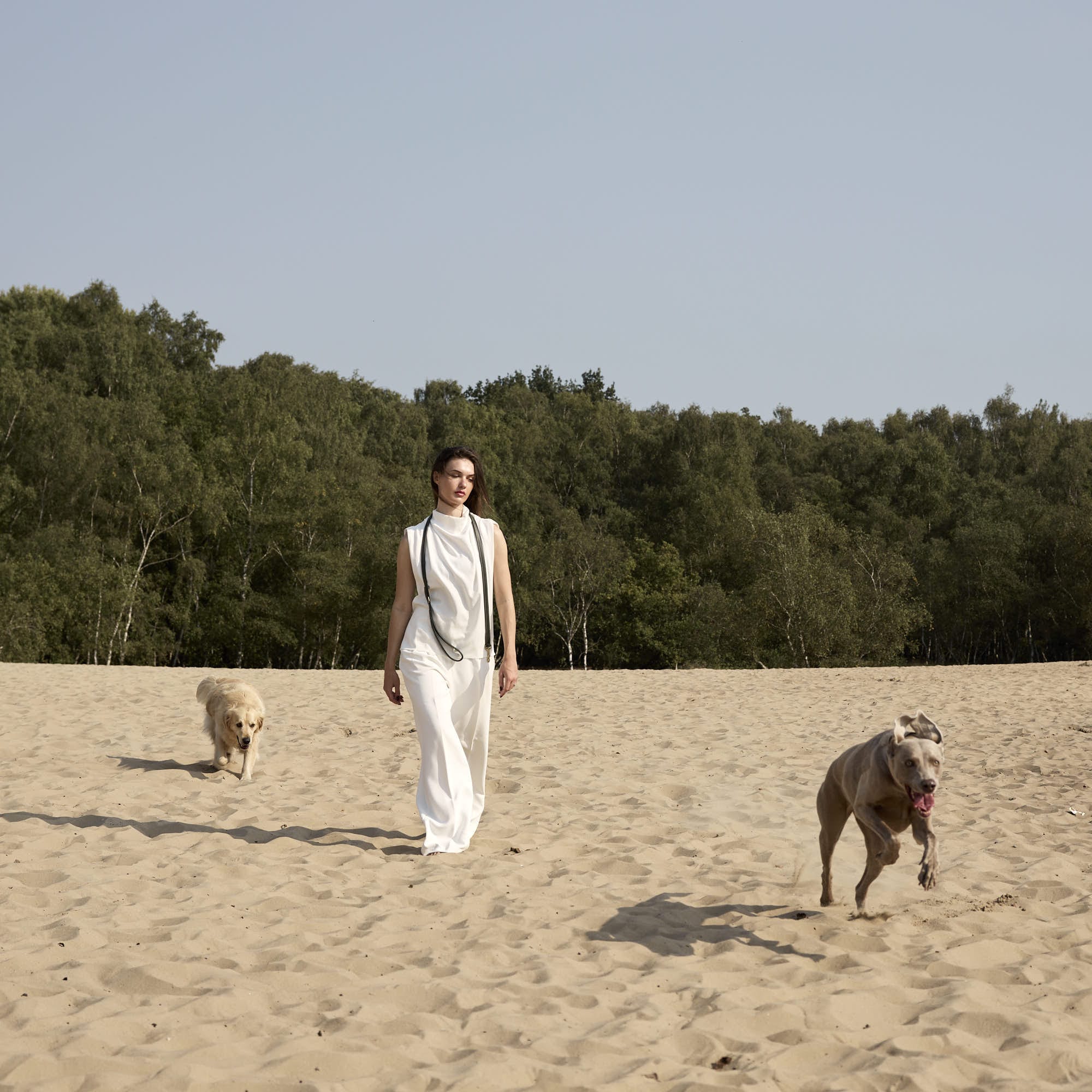 William Walker Hochwertige Glattleder Hundeleine Forest