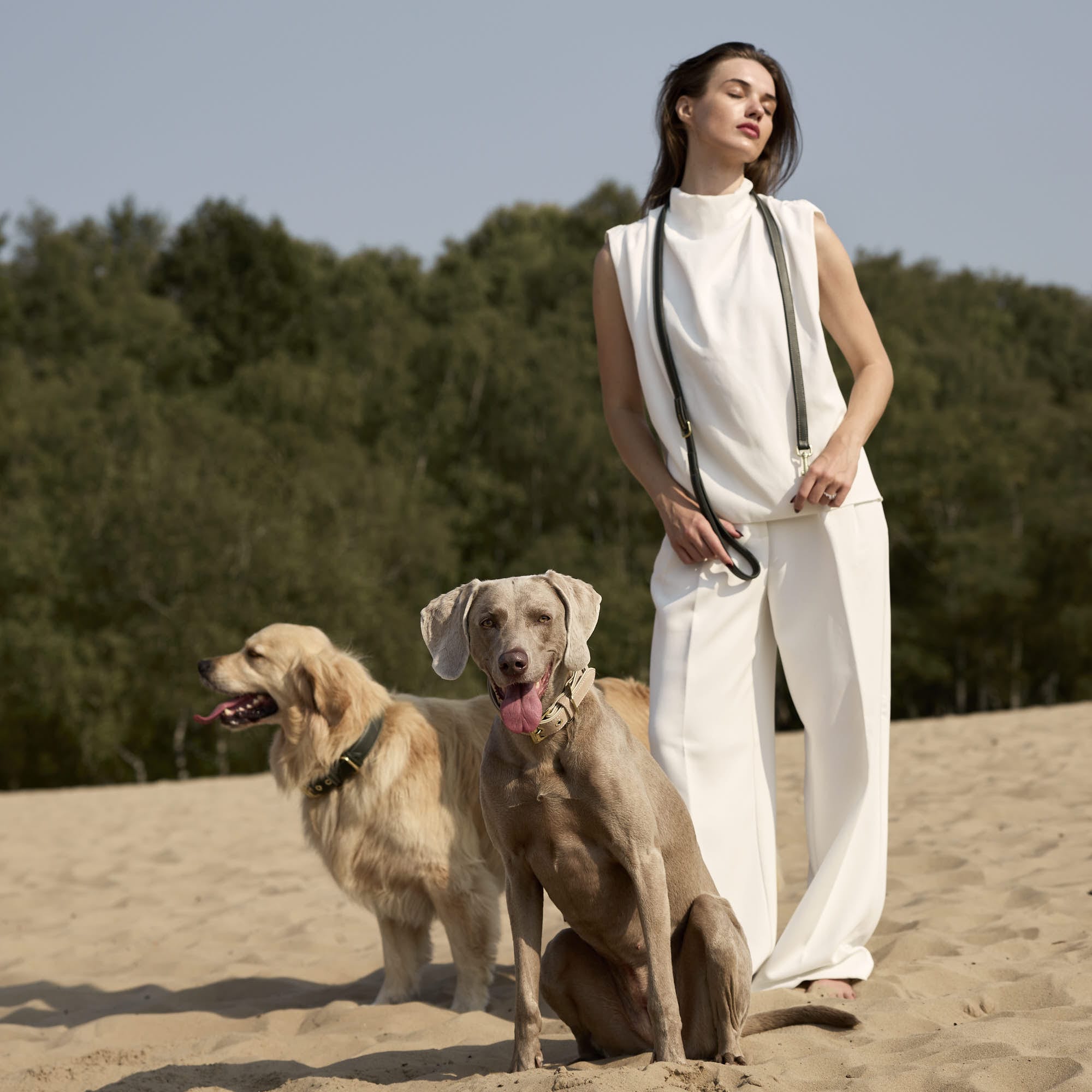 William Walker Hochwertige Glattleder Hundeleine Forest