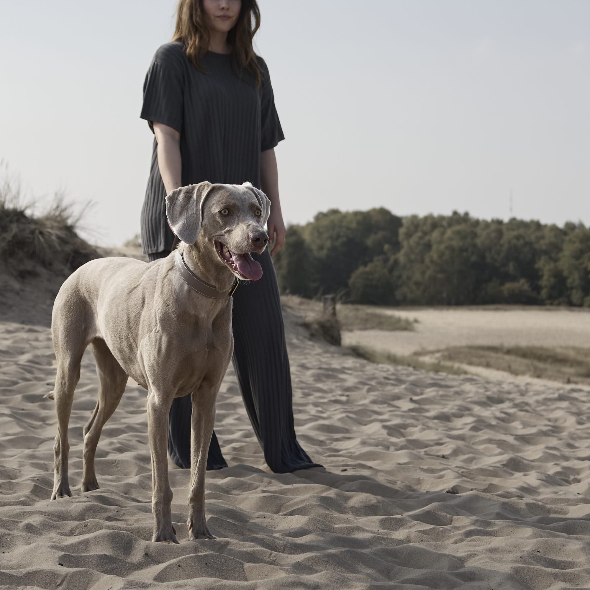 William Walker Glattleder Hundehalsband Pebble (Taupe)