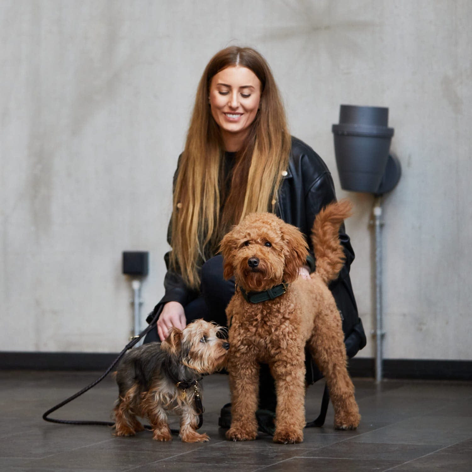 William Walker Leder Hundehalsband Dark Moss (Waldgrün)