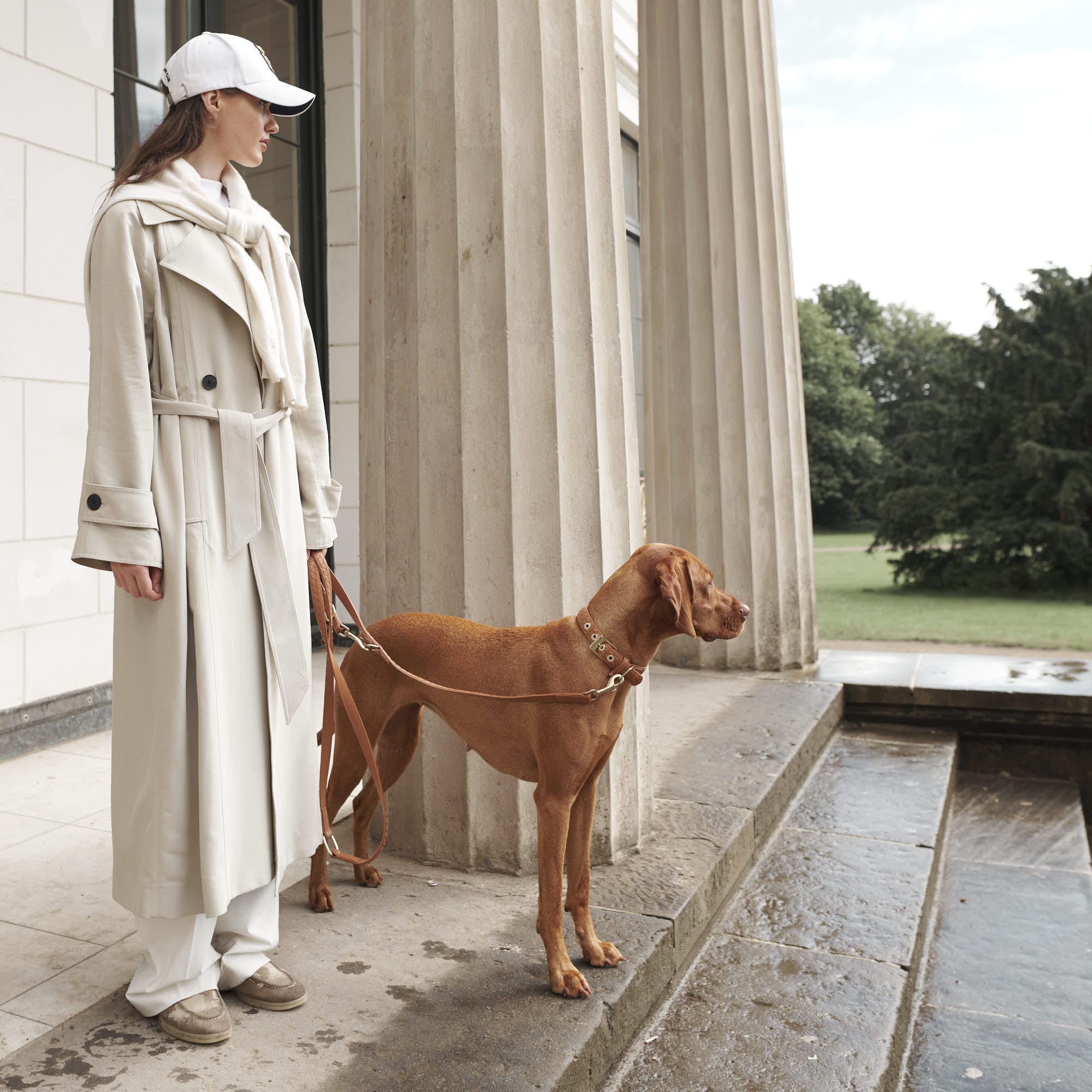 William Walker Hochwertige Leder Hundeleine Prestige Caramel