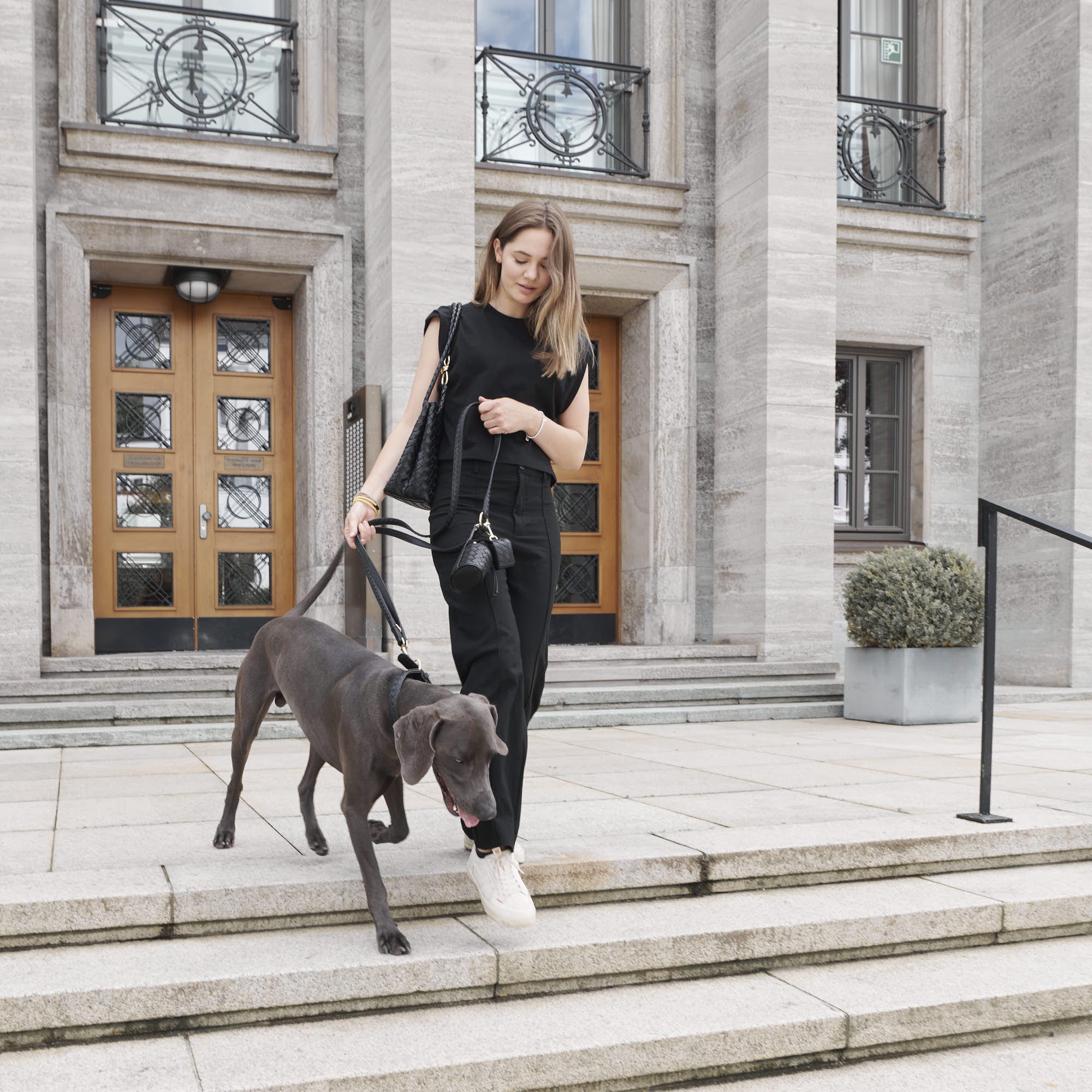 William Walker Hochwertige Leder Hundeleine Prestige Nero (Schwarz)