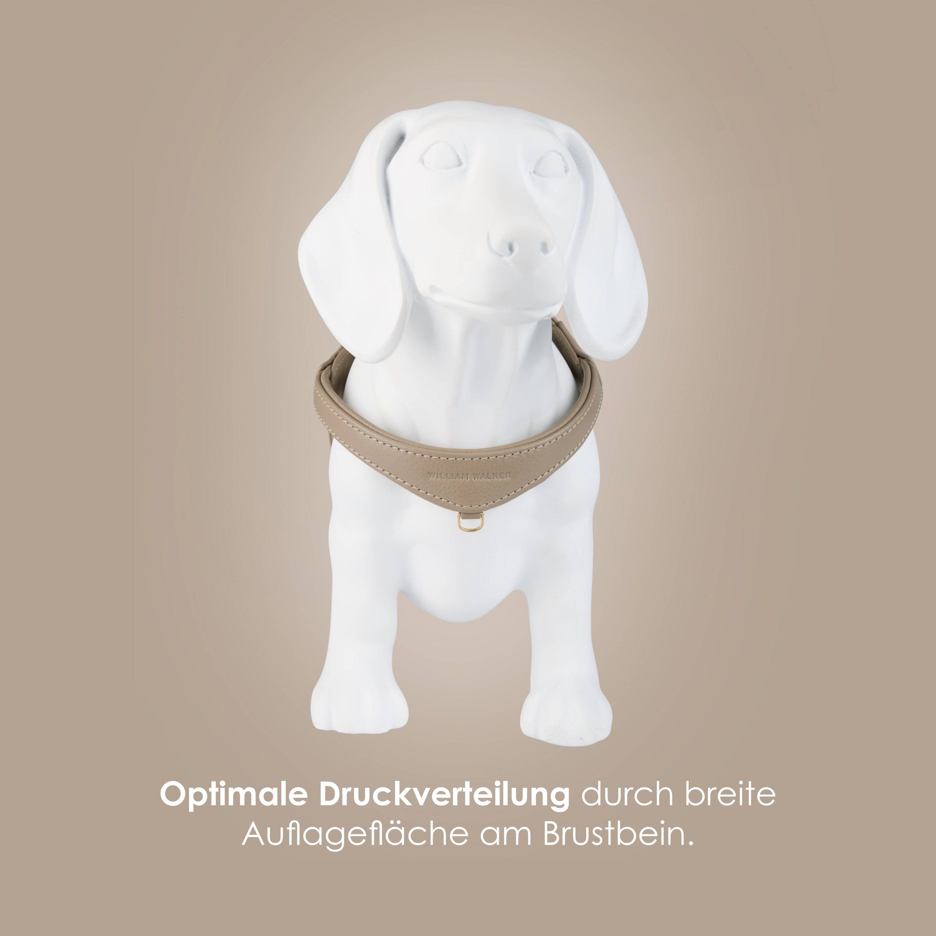 William Walker Step-In Leder Geschirr Pico für kleine Hunde