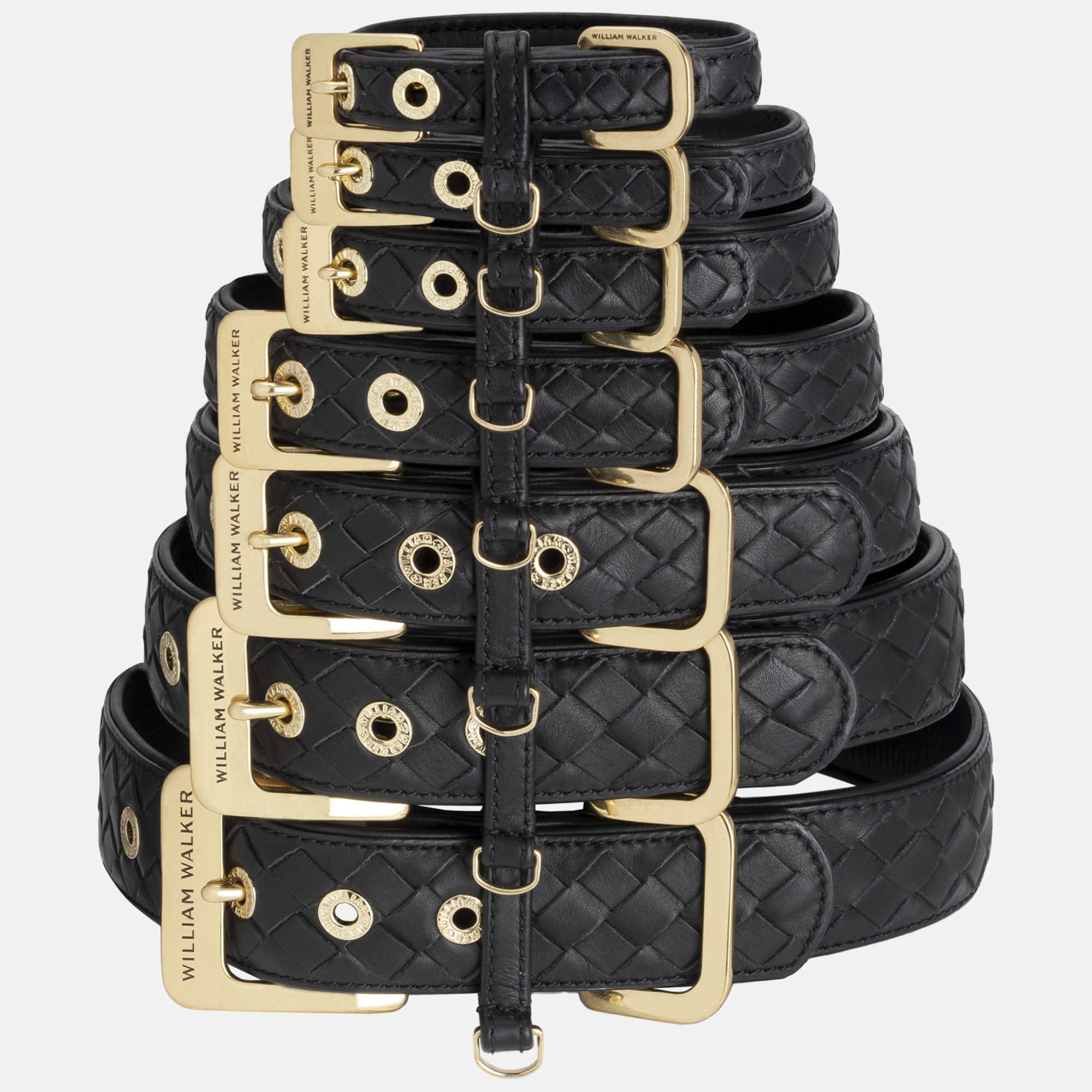 William Walker Leder Hundehalsband Prestige Nero (Schwarz)