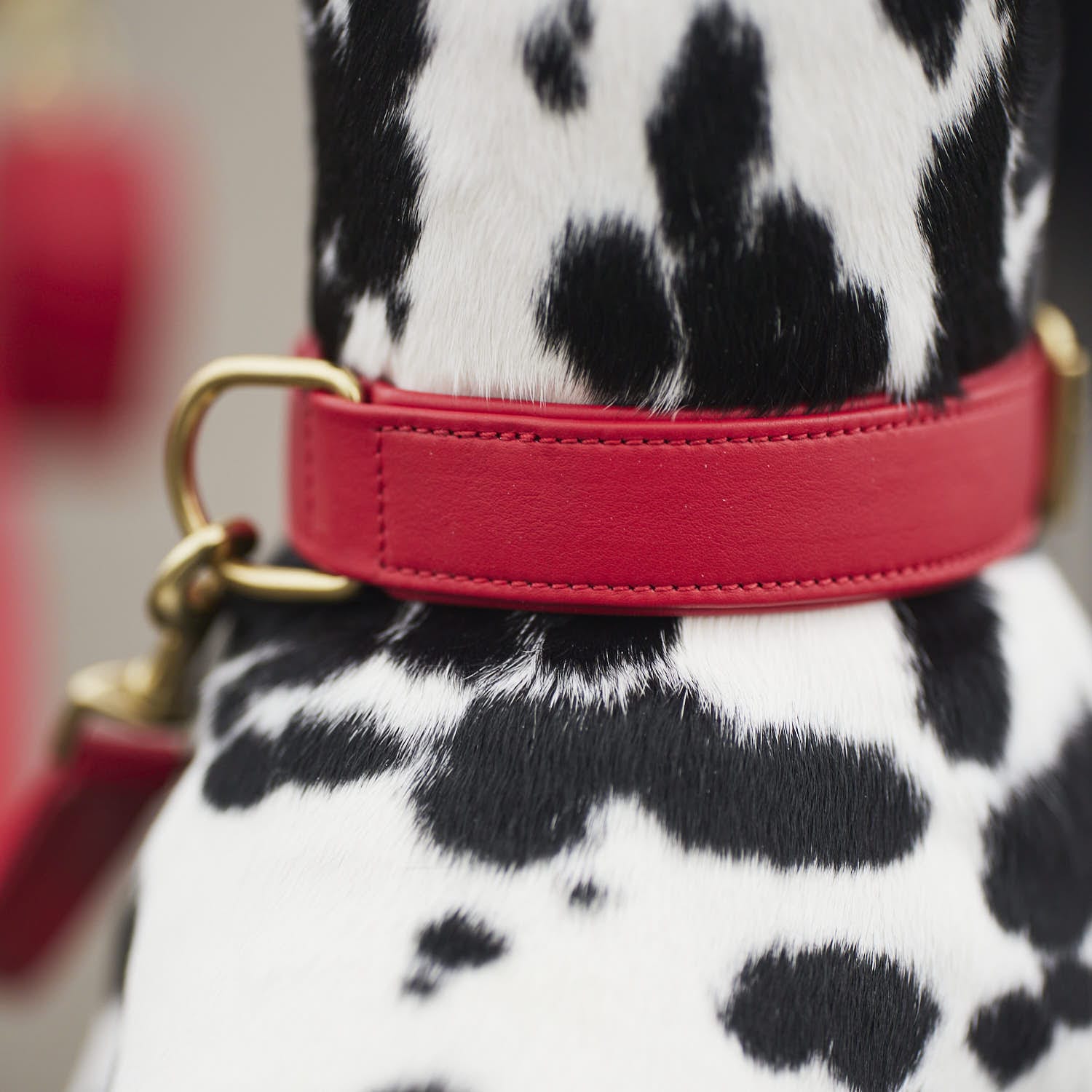 William Walker Hundehalsband Chilli