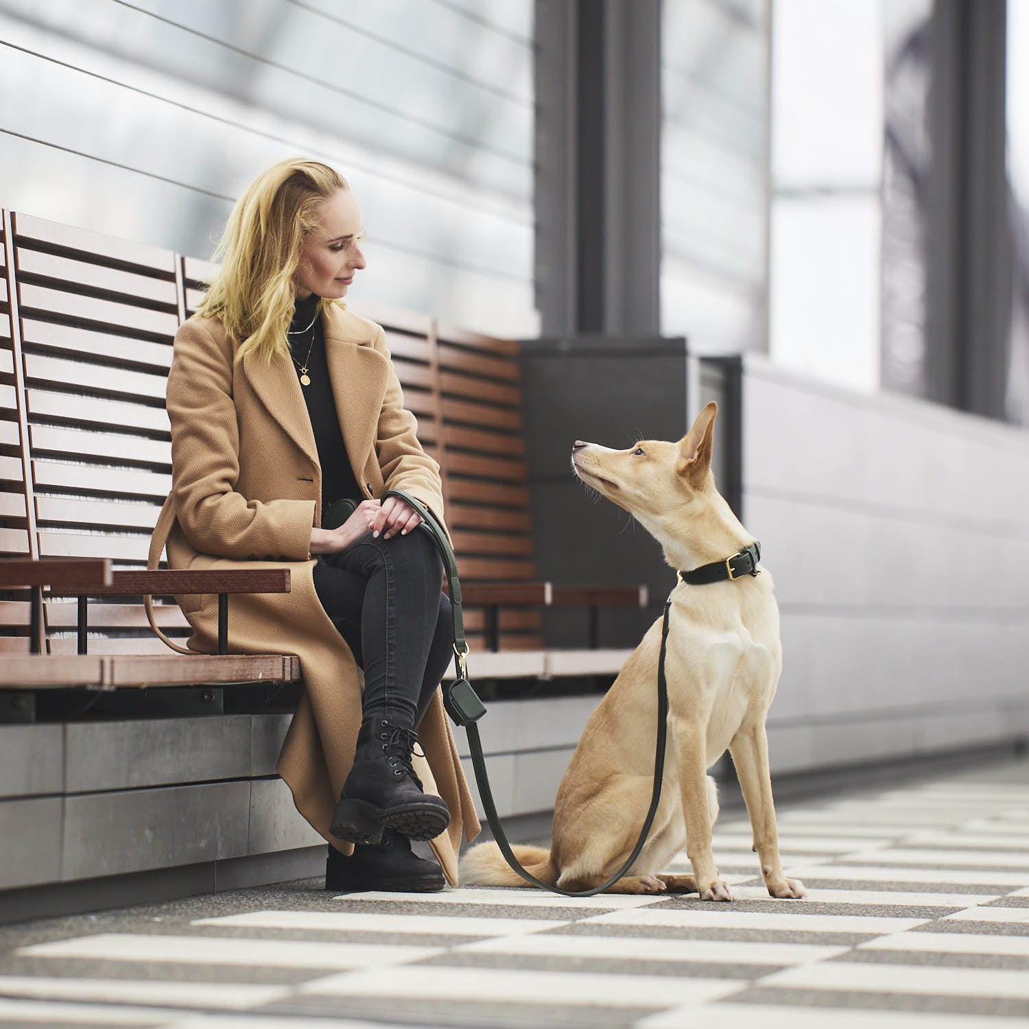 William Walker Hundeleine Dark Moss