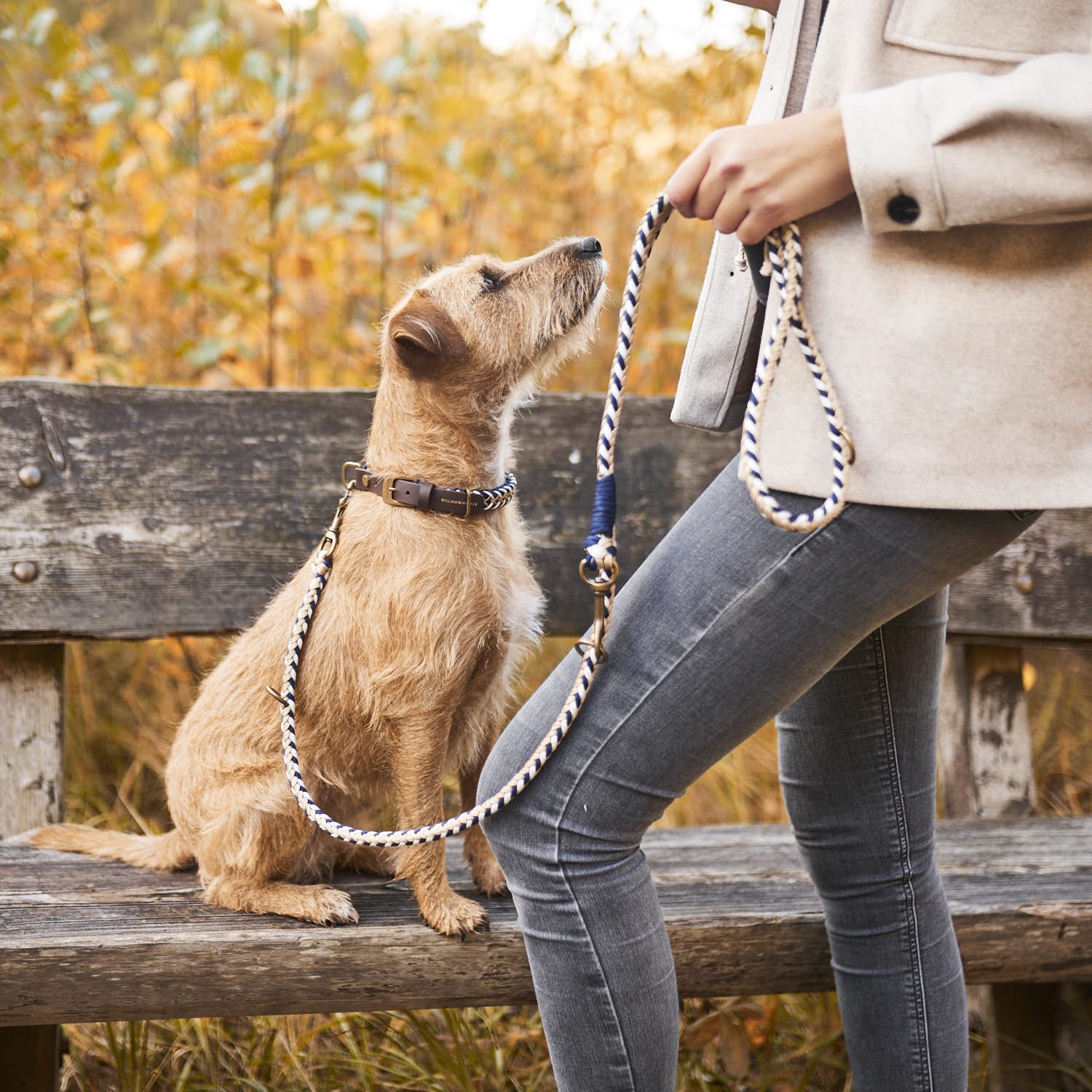 William Walker Paracord Hundeleine Hanseatic