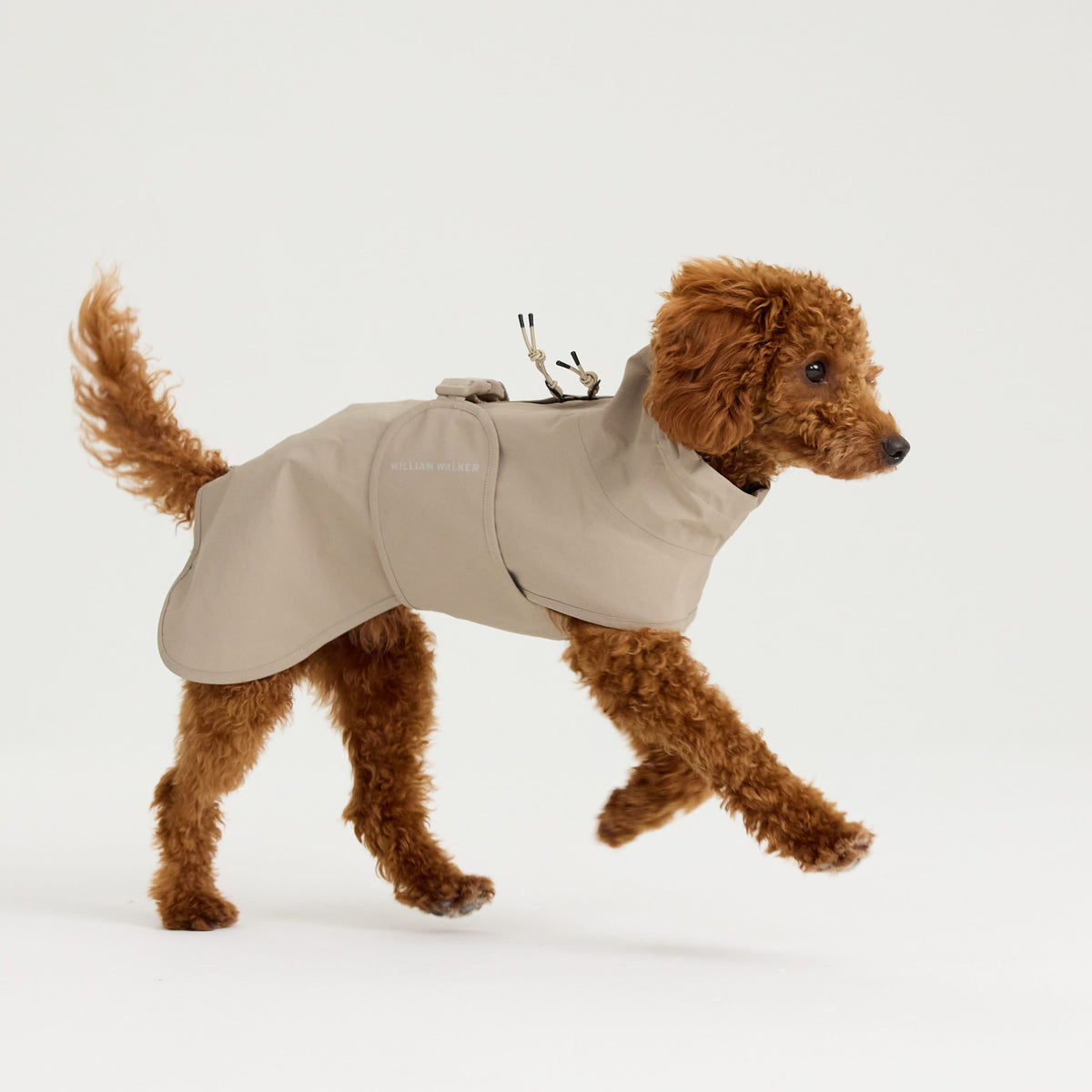 William Walker Waterproof dog raincoat Harbour