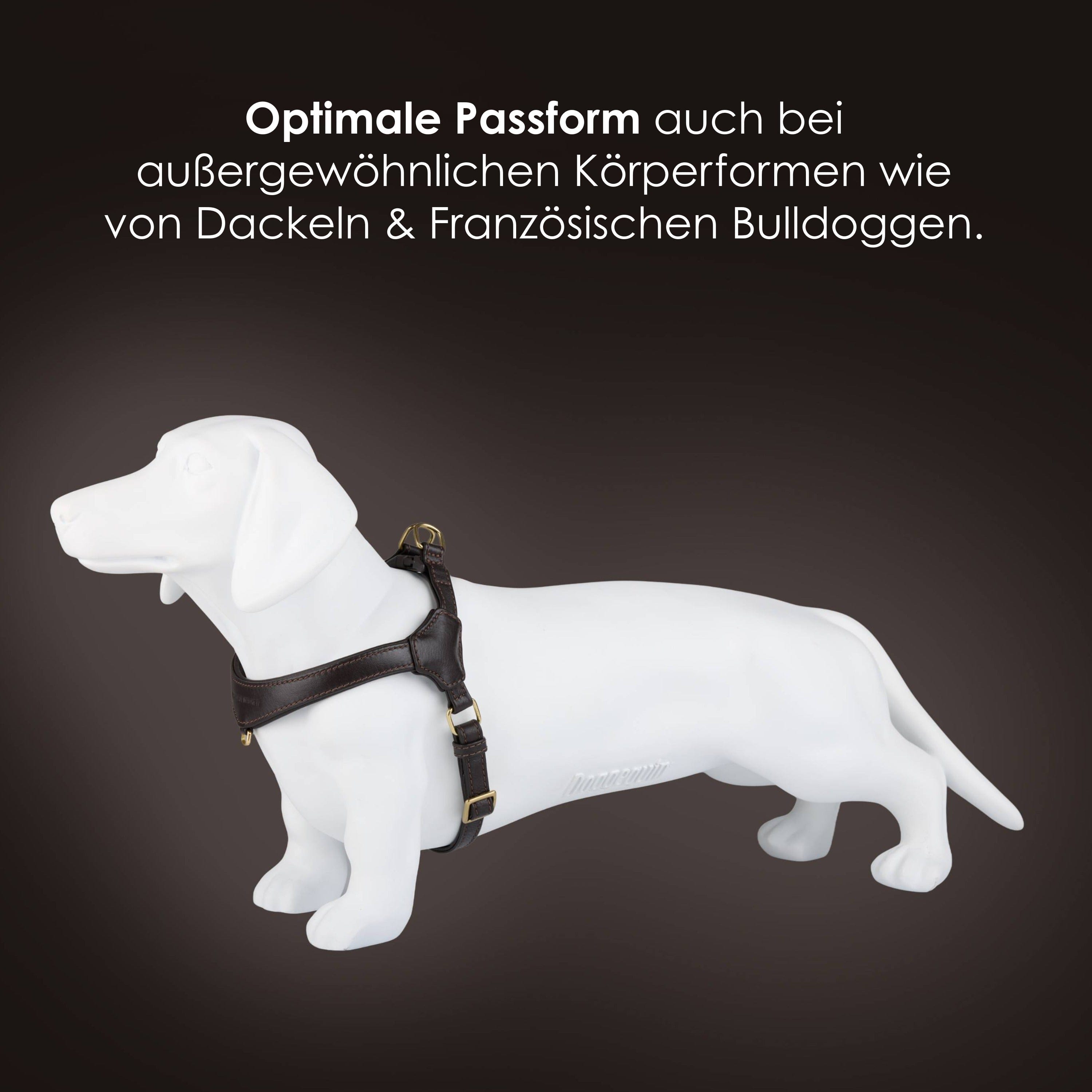 William Walker Step-In Leder Geschirr Pico für kleine Hunde