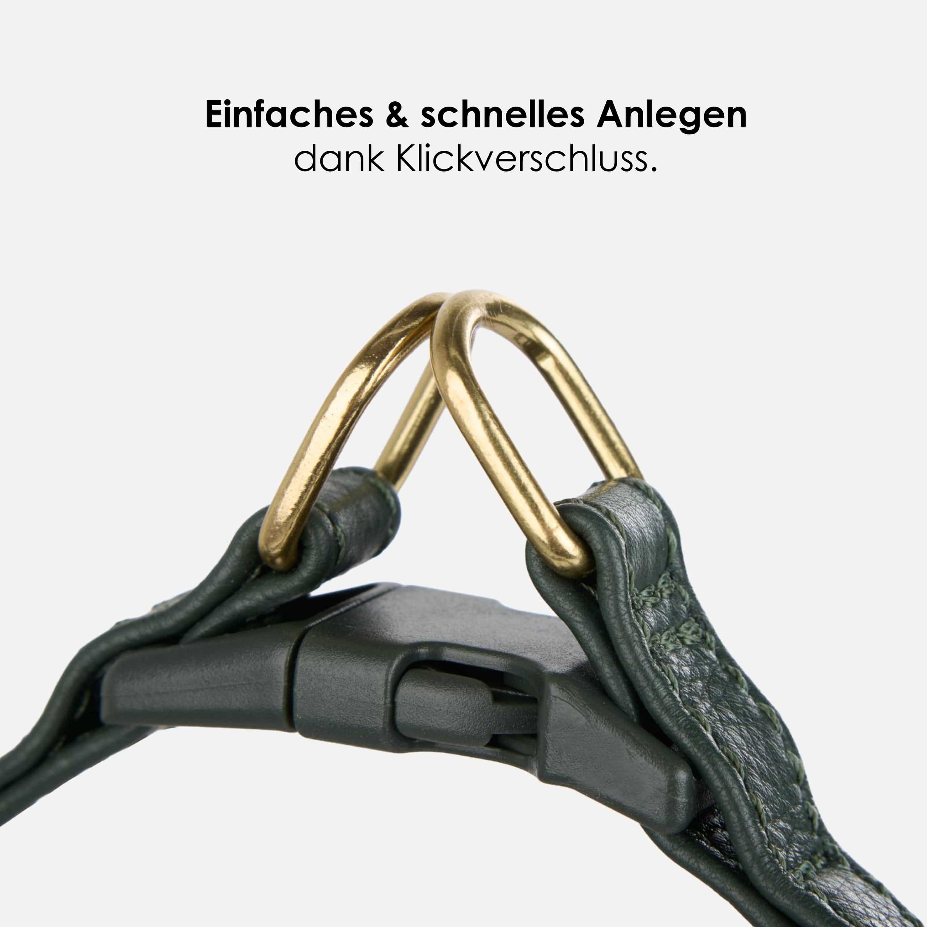 William Walker Step-In Leder Geschirr Pico für kleine Hunde