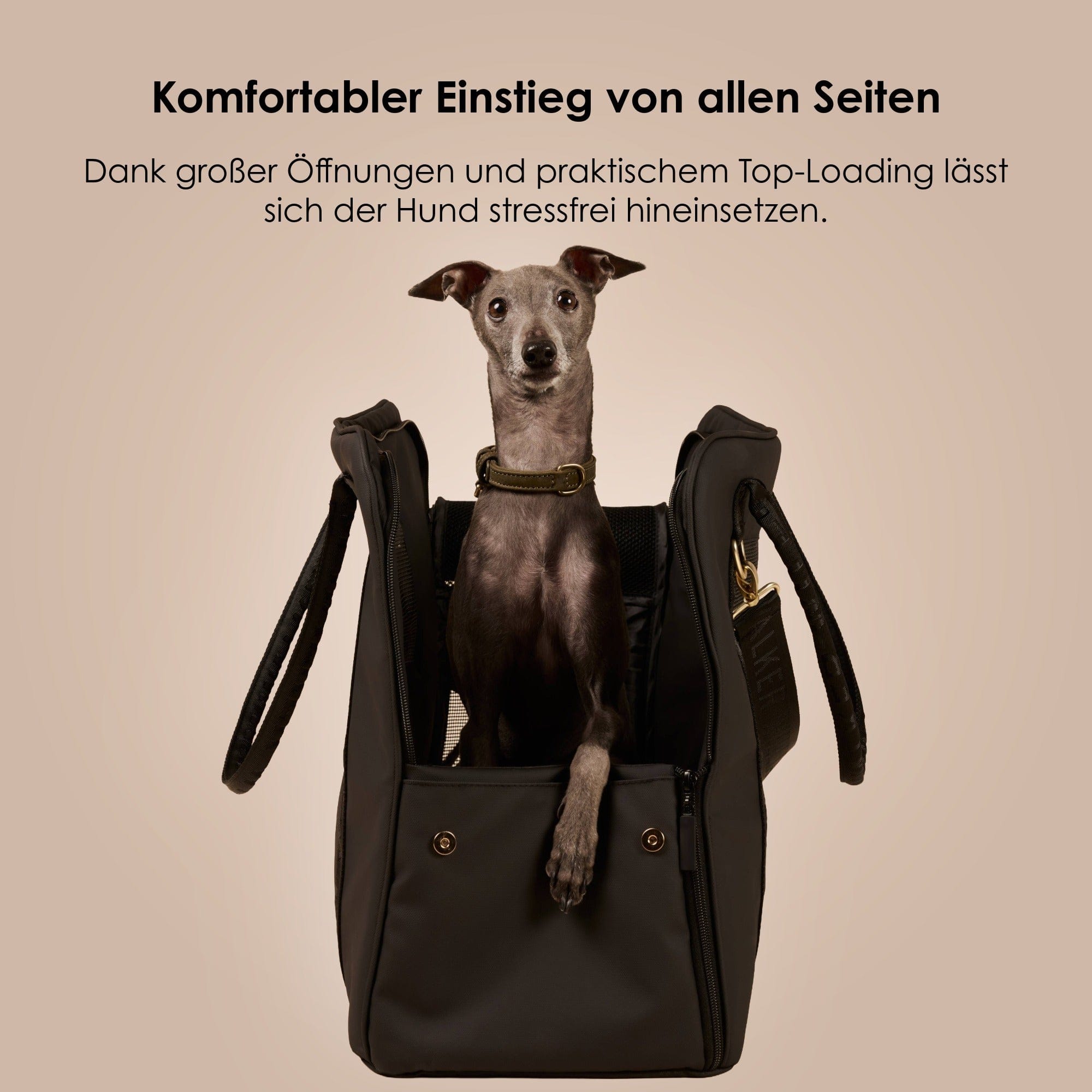 William Walker Hundetragetasche fürs Flugzeug Cloud Summit