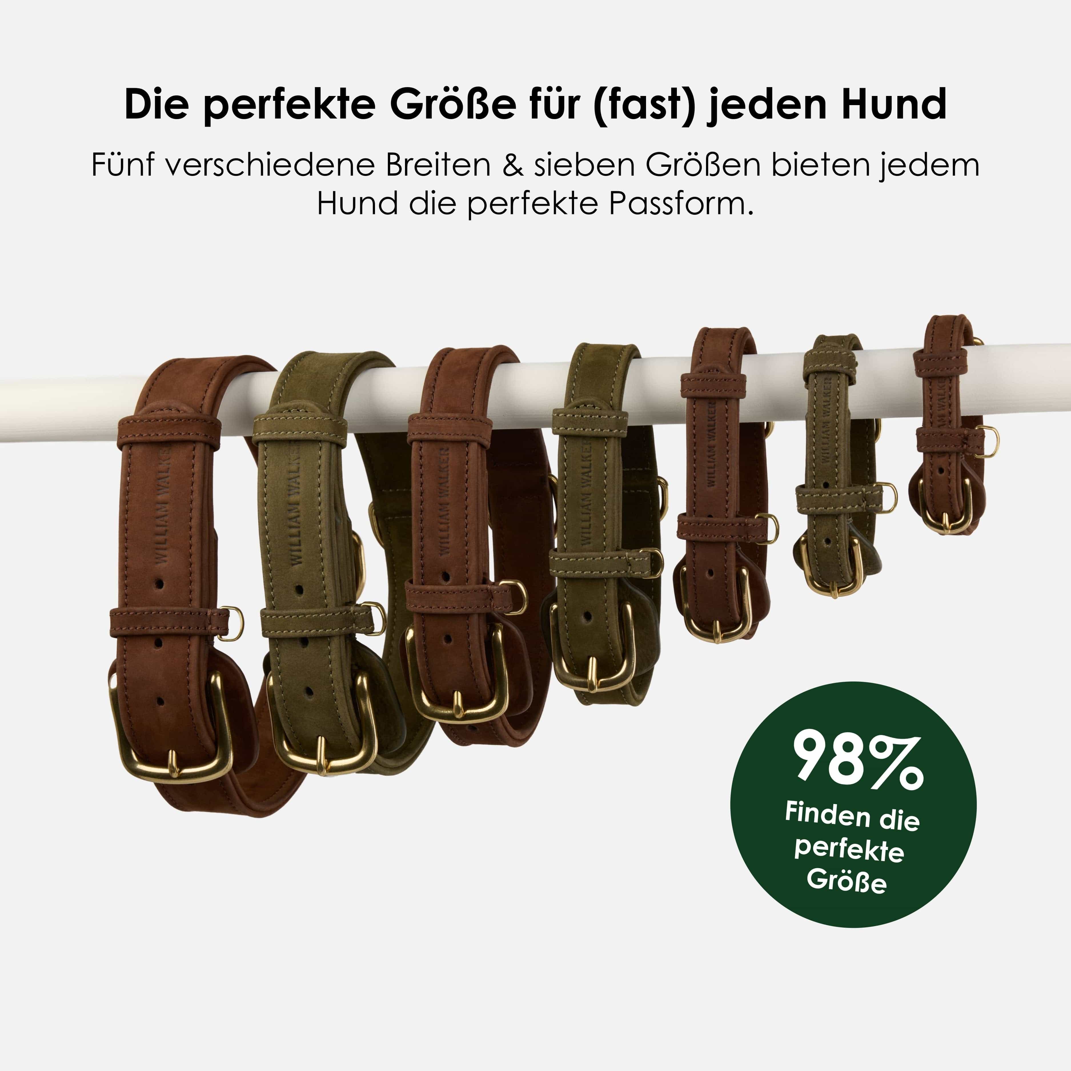 William Walker Hundehalsband aus wasserfestem Nubukleder