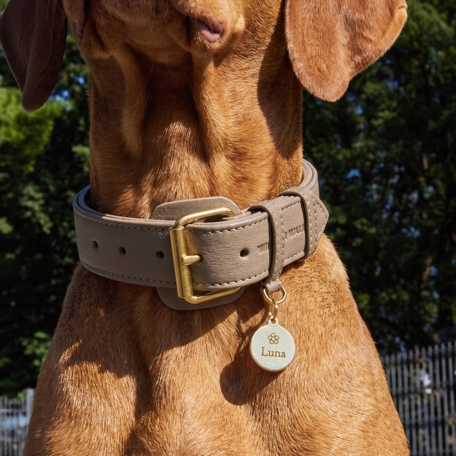 Personalisierbare runde Messing-Hundemarke