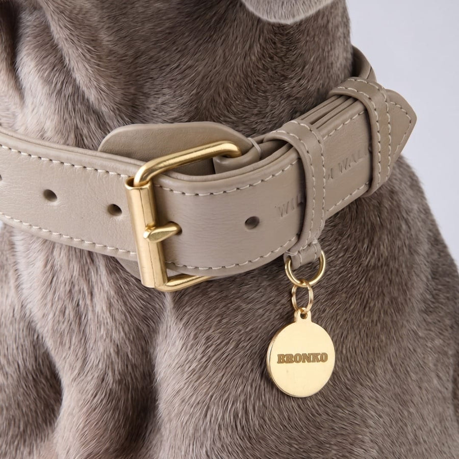 Personalisierbare runde Messing-Hundemarke