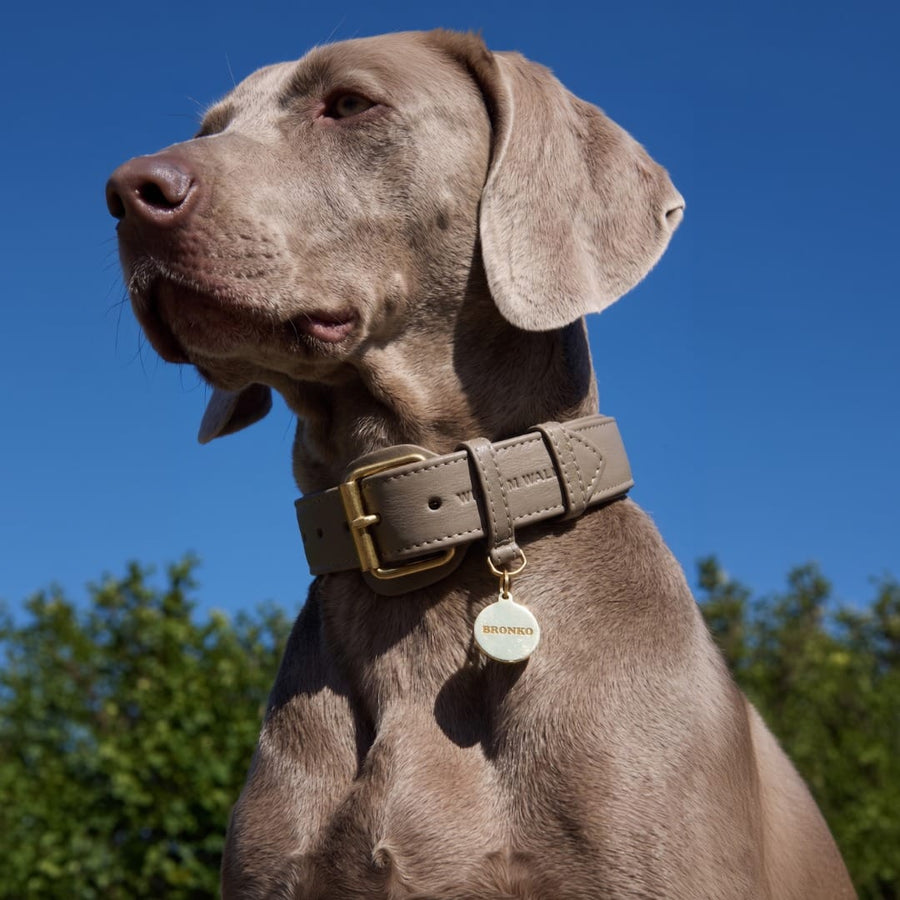 Personalisierbare runde Messing-Hundemarke