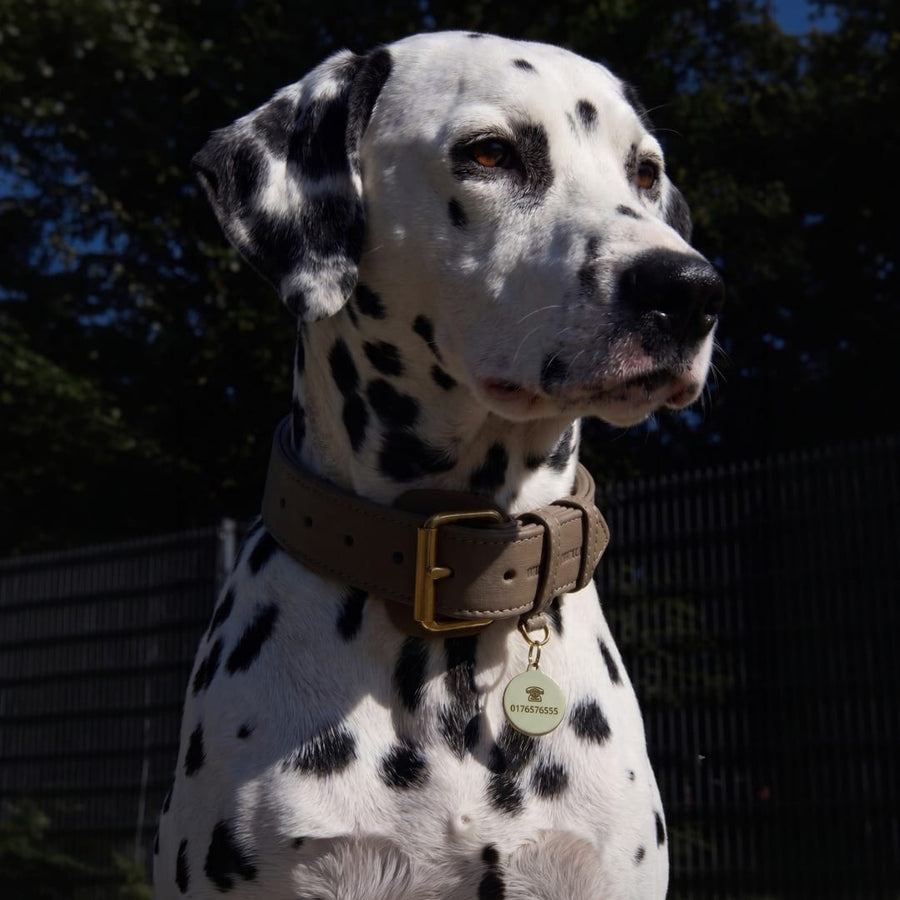Personalisierbare runde Messing-Hundemarke