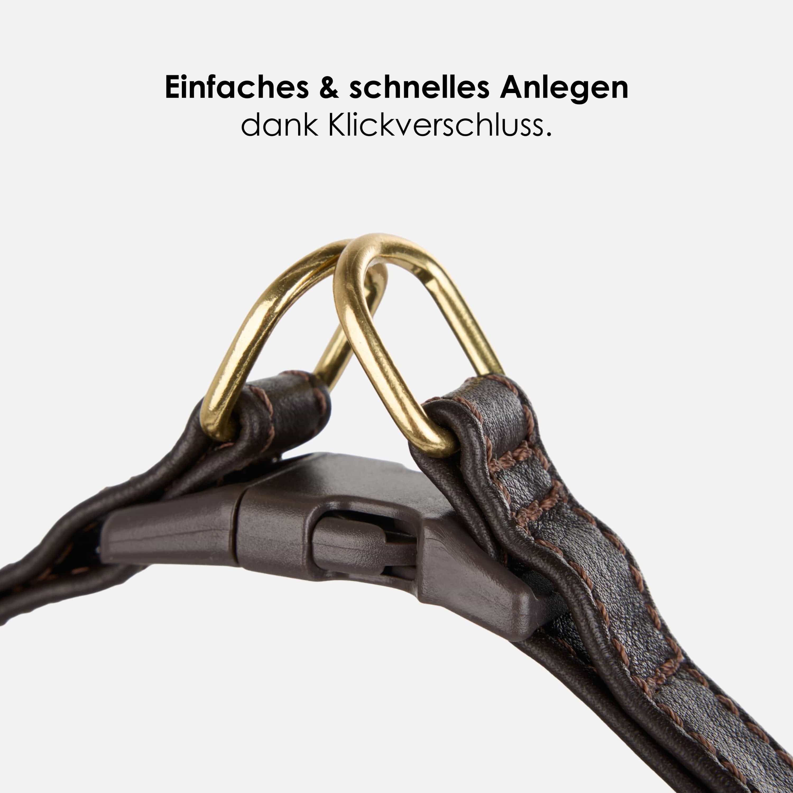 William Walker Step-In Leder Geschirr Pico für kleine Hunde