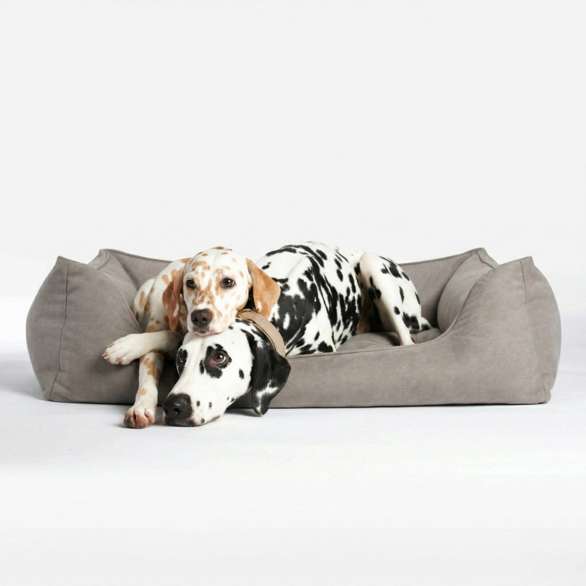 William Walker Cama para perros ortopédica Plain Sand (Beige) / S / Kissen (Flocken)