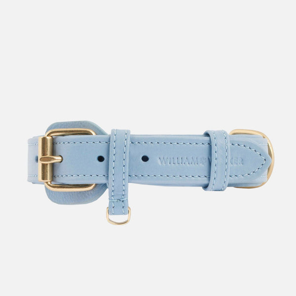 Collare per cani in pelle Sky (Azzurro)