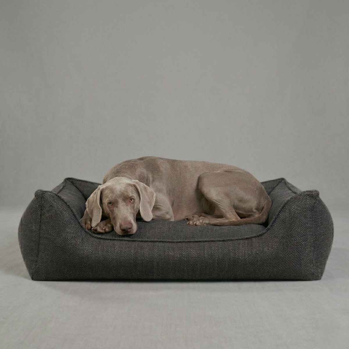 William Walker Cama para perros ortopédica Luxe Midnight / S / Kissen (Flocken)