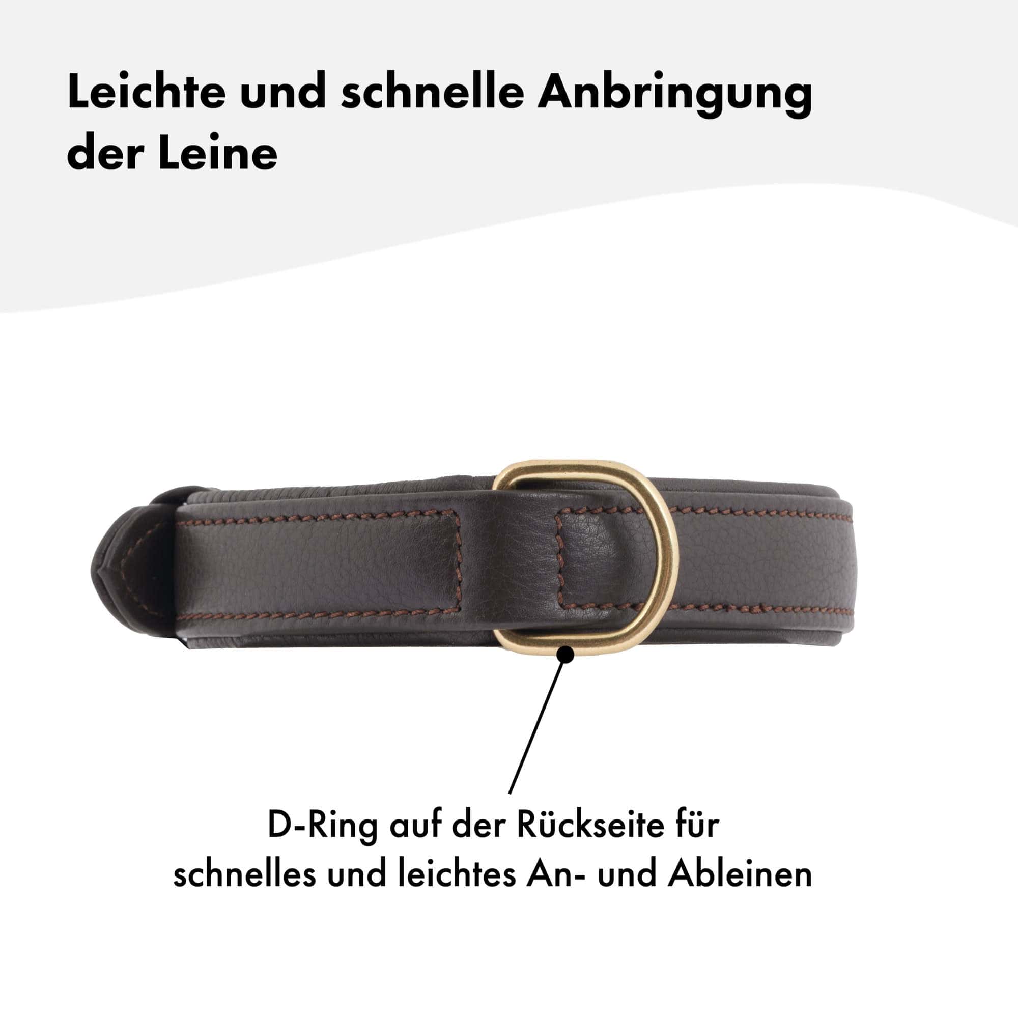 Hochwertiges Echtleder-Hundehalsband - Verstellbar, robust und ideal für kleine und große Hunde in edlem Braun mit goldenen Schnallen. 