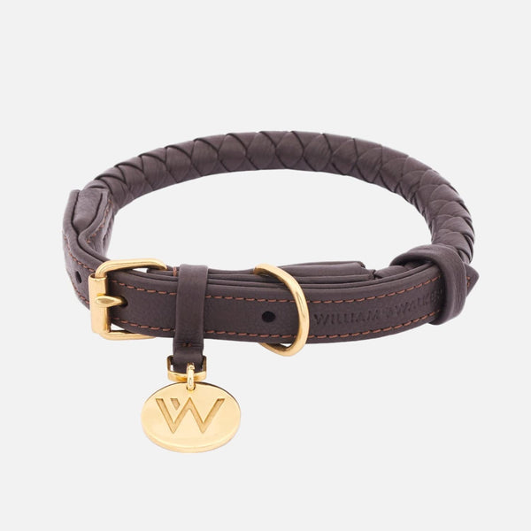 Collare per cani in pelle Twisted Earth (Marrone)
