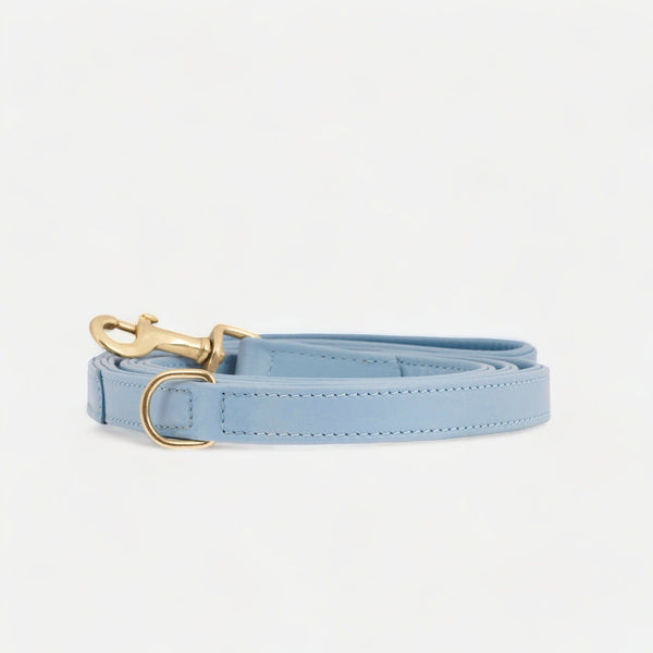 Guinzaglio per cani in pelle di alta qualità Sky (Azzurro)