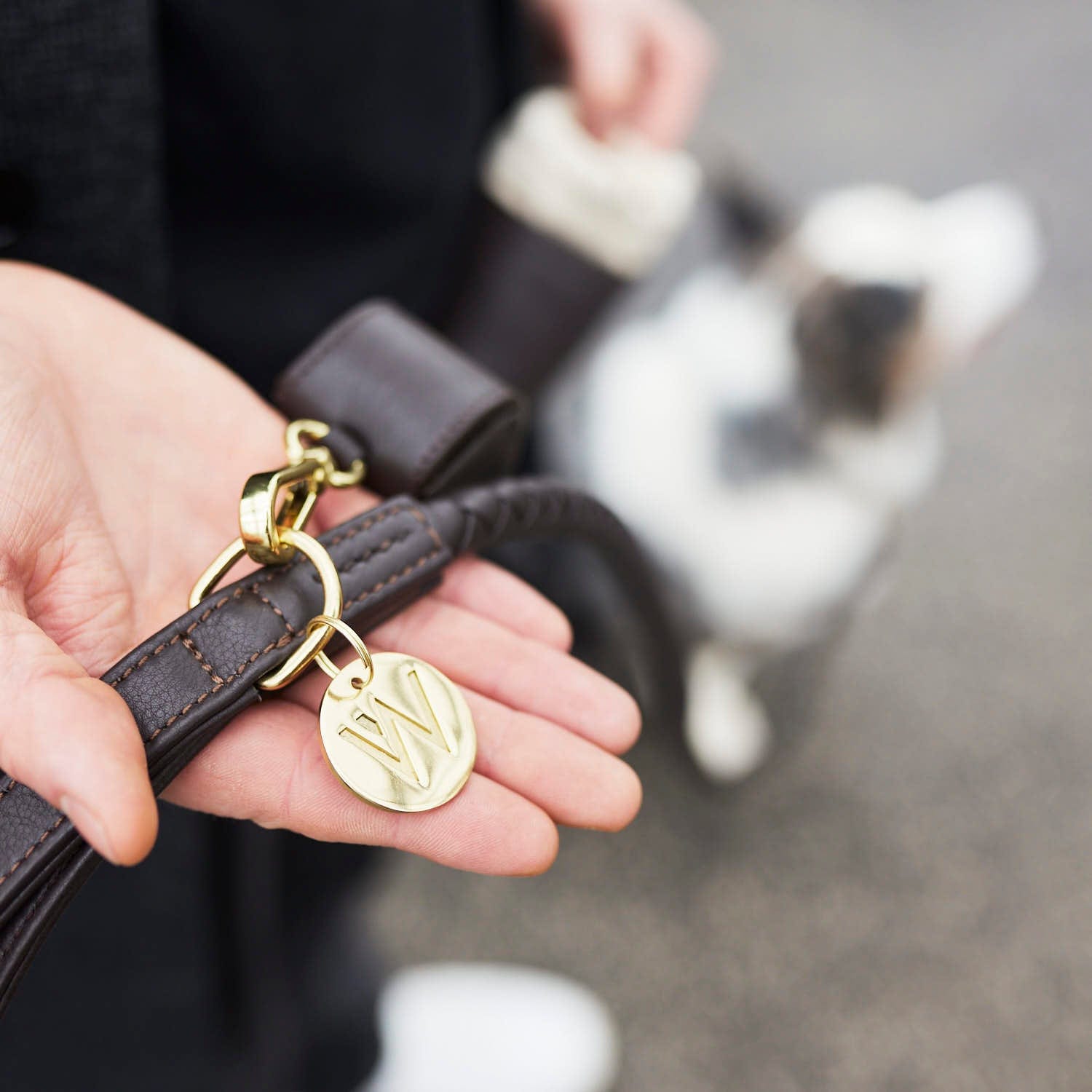 William Walker Hundeleine Twisted Earth